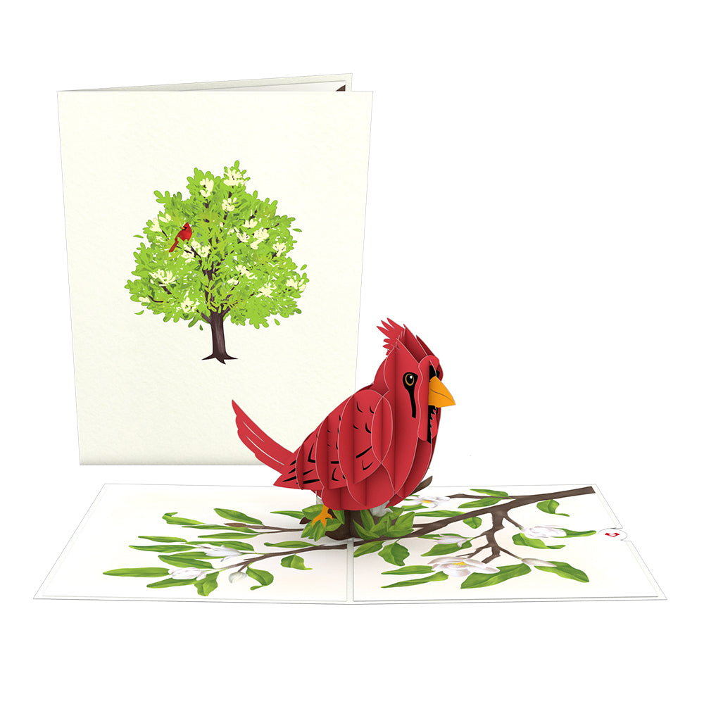 Radiant Cardinal Pop-Up Card、mySite、solidvoid