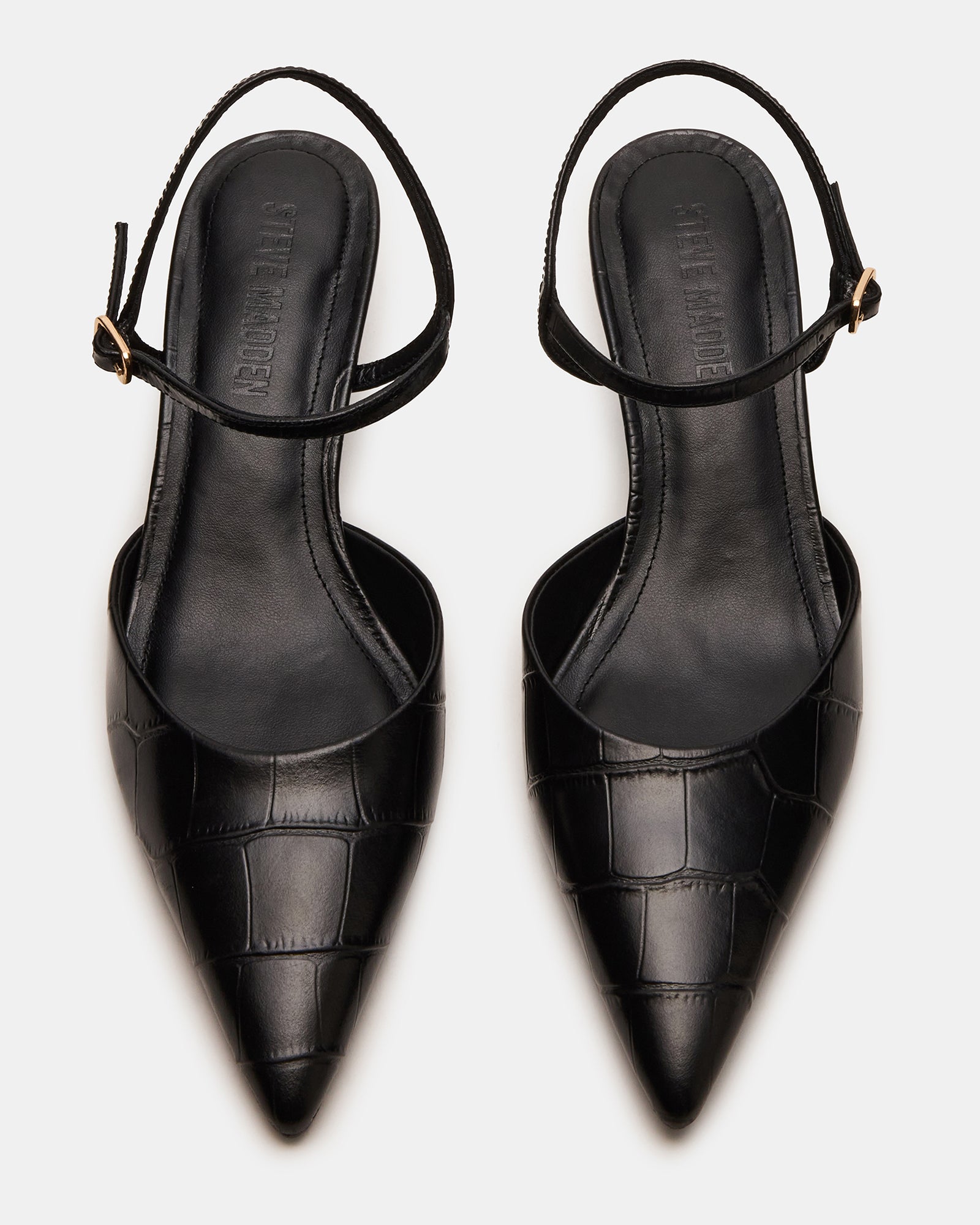 ADELAIDE BLACK CROCODILE、mySite、gtrtttuynbv