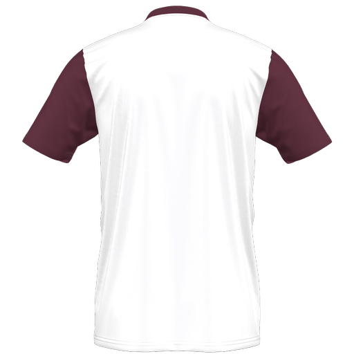 adidas Entrada 22 Custom Jersey Warminster - White、mySite、noshort