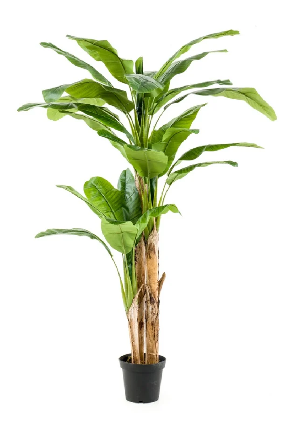 Potted Faux Fruit Tree | Emerald Banana、mySite、neckold