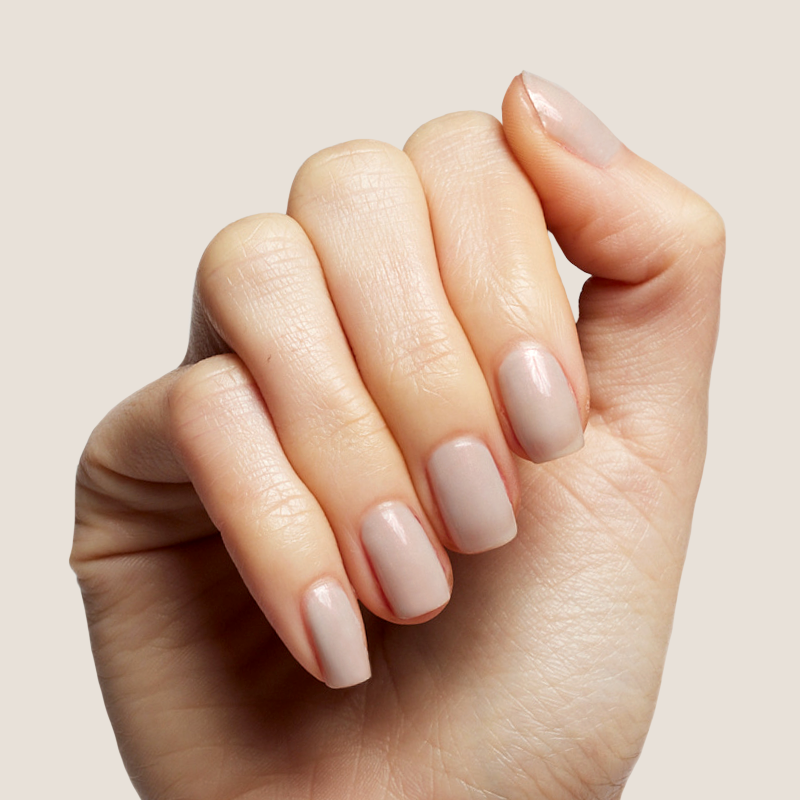 Elevator、mySite、solidvoid