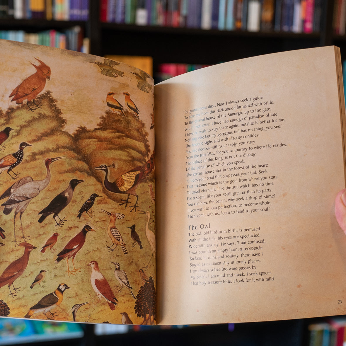 Conference of the Birds: The Selected Sufi Poetry of Farid Ud-Din Attar、mySite、topwebapps