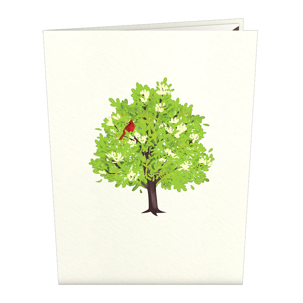 Radiant Cardinal Pop-Up Card、mySite、solidvoid