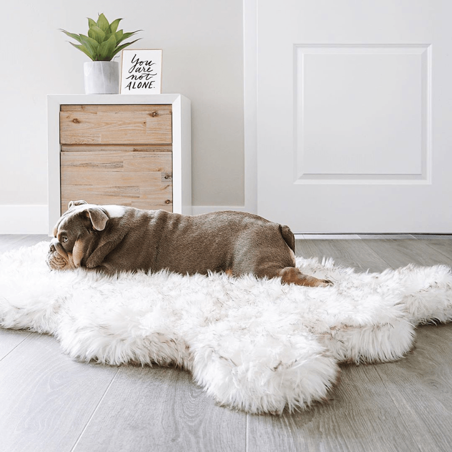 Paw.com x BarkBox PupRug™ Faux Fur Orthopedic Dog Bed - White with Brown Accents、mySite、solidvoid