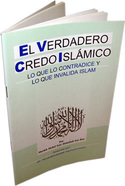 Spanish: La Verdadera Doctrina Islamica、mySite、topwebapps