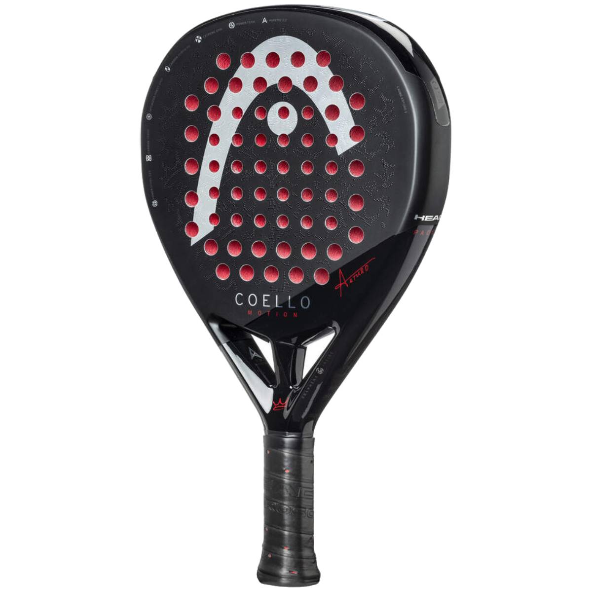 Head Coello Motion 2025