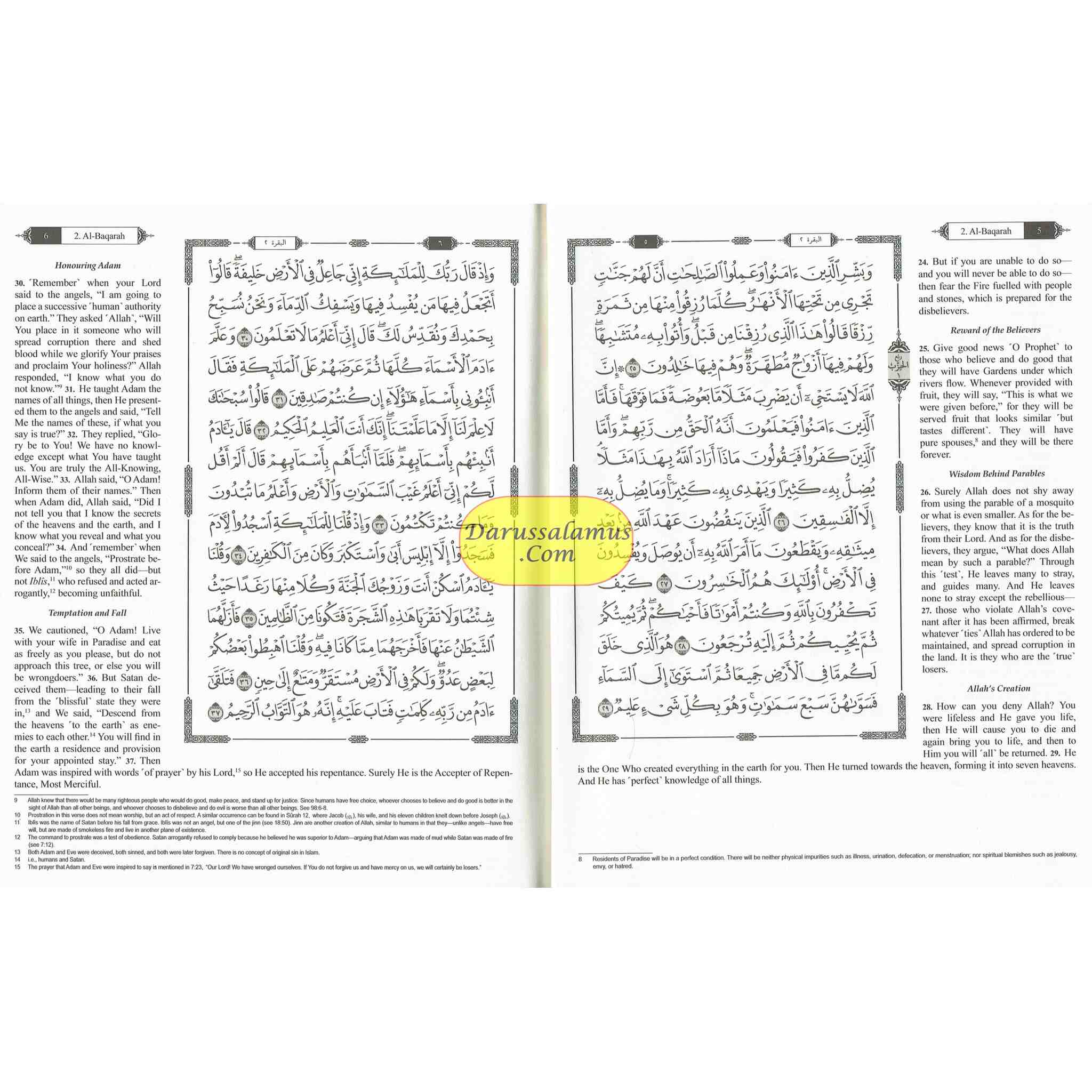 The Clear Quran with Arabic Text Othmani Script 15 Lines: Hifz Edition(Leather Bound)、mySite、topwebapps
