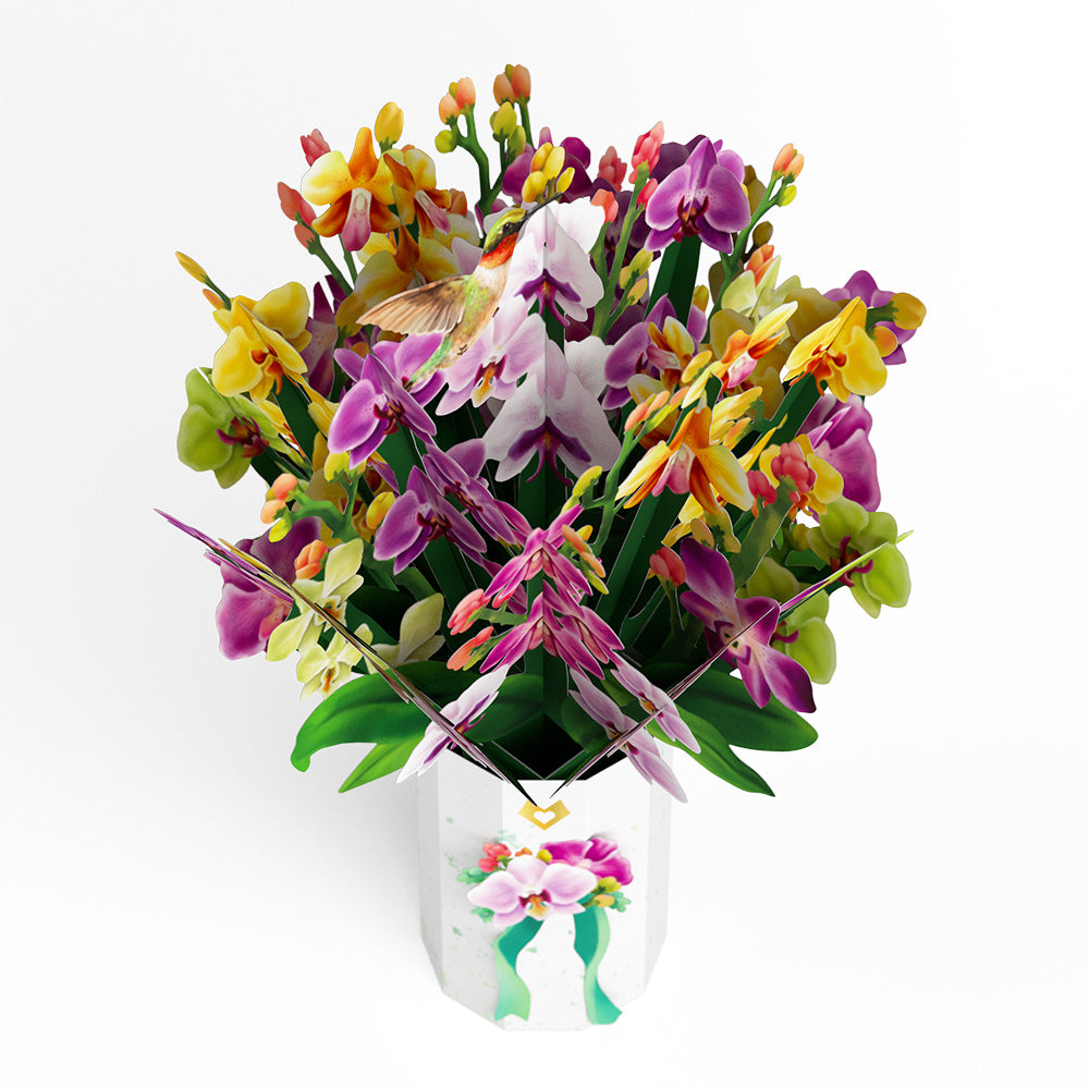 Mother's Day Orchid Bundle、mySite、solidvoid