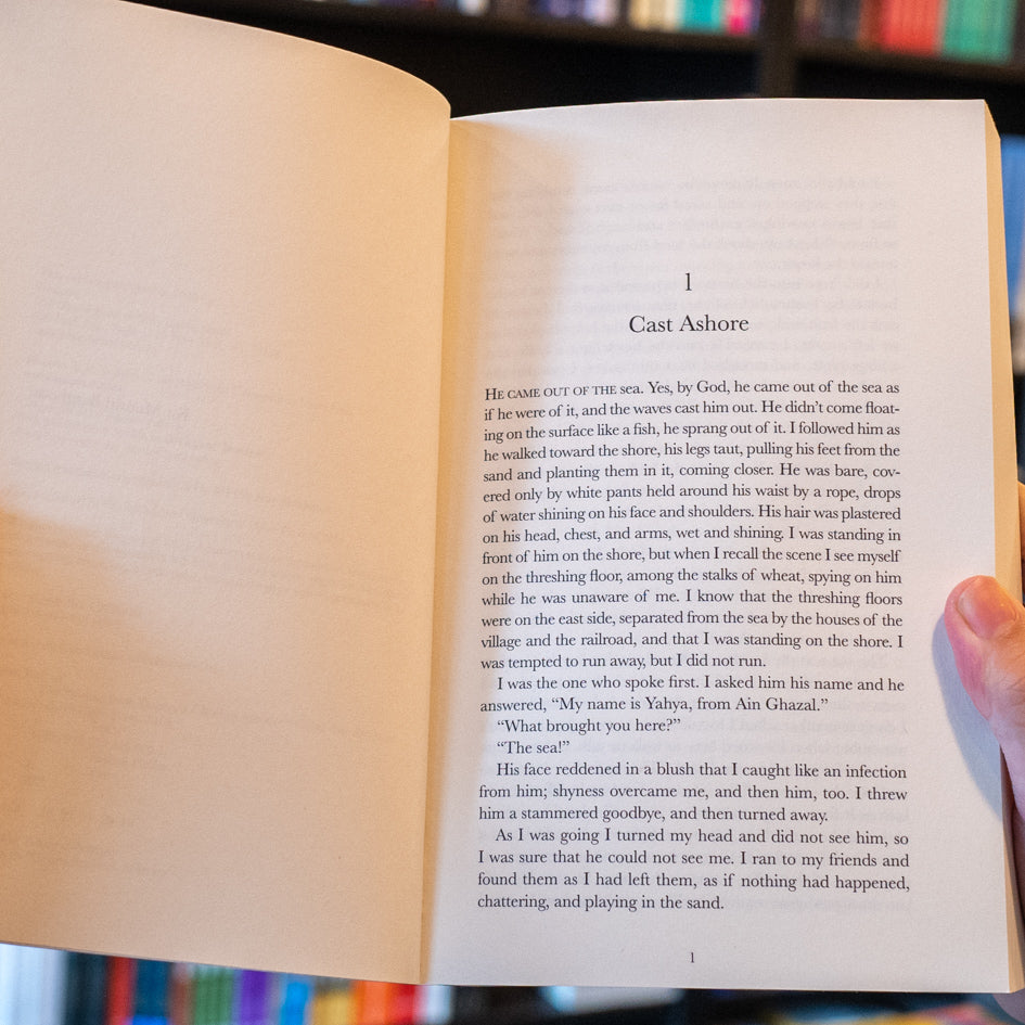 The Woman from Tantoura: A Novel from Palestine、mySite、topwebapps