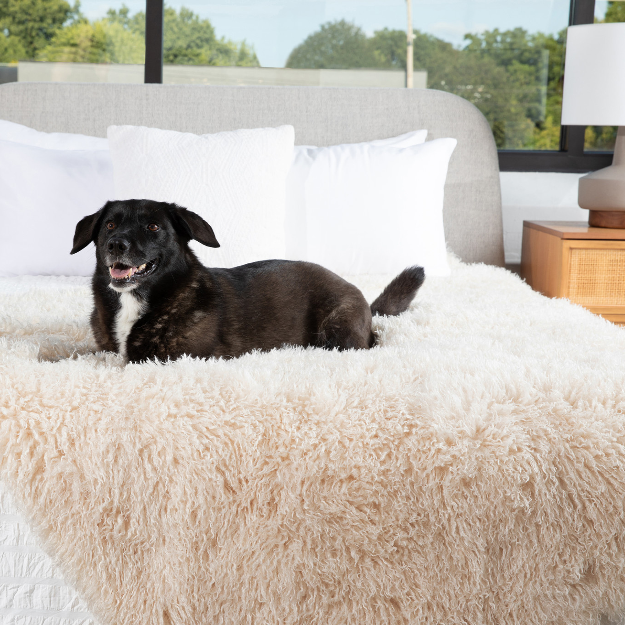 PupProtector™ Luxe Waterproof Faux Fur Blanket - Plush Sheep Ivory、mySite、solidvoid