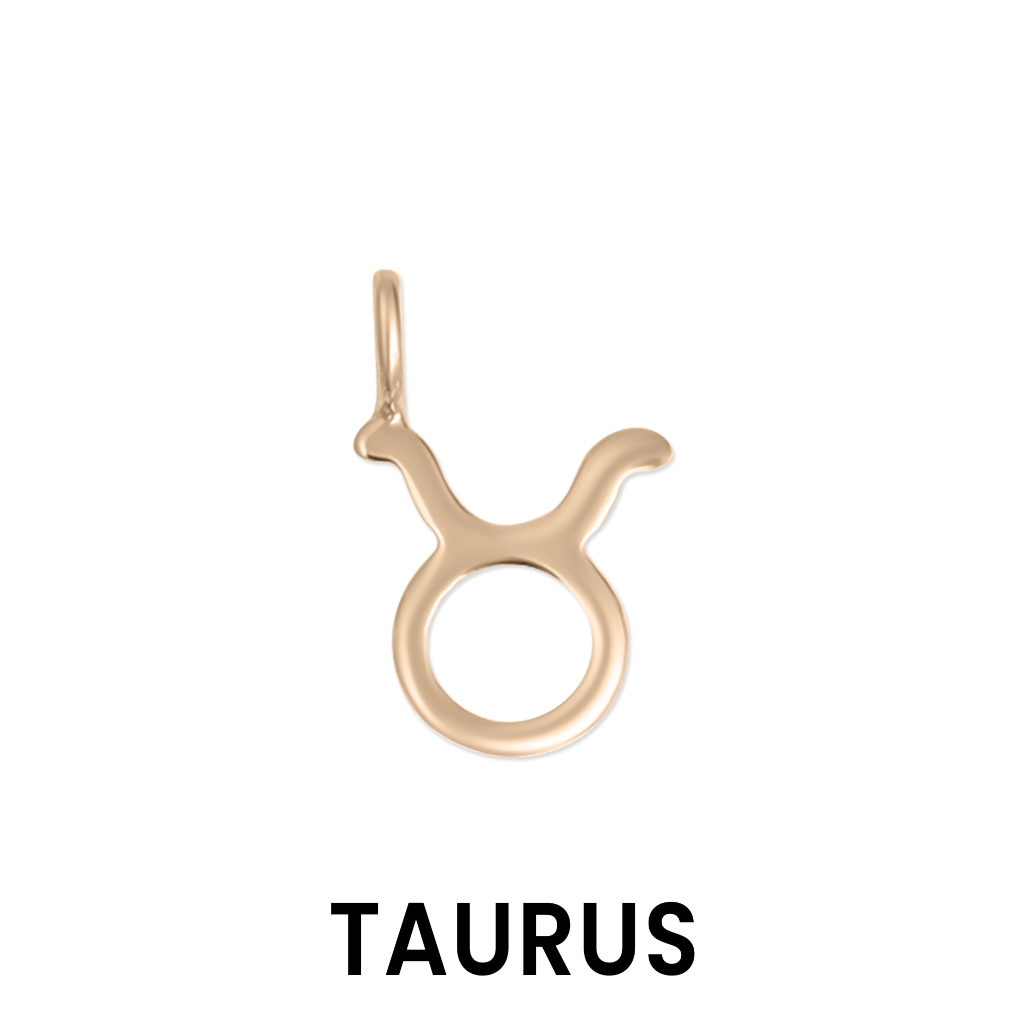 Permanent Jewelry 14K Solid Rose Gold Zodiac Charms / PMJ2009、mySite、dreamappss