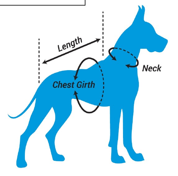 Raptors Pet Reversible Bandana