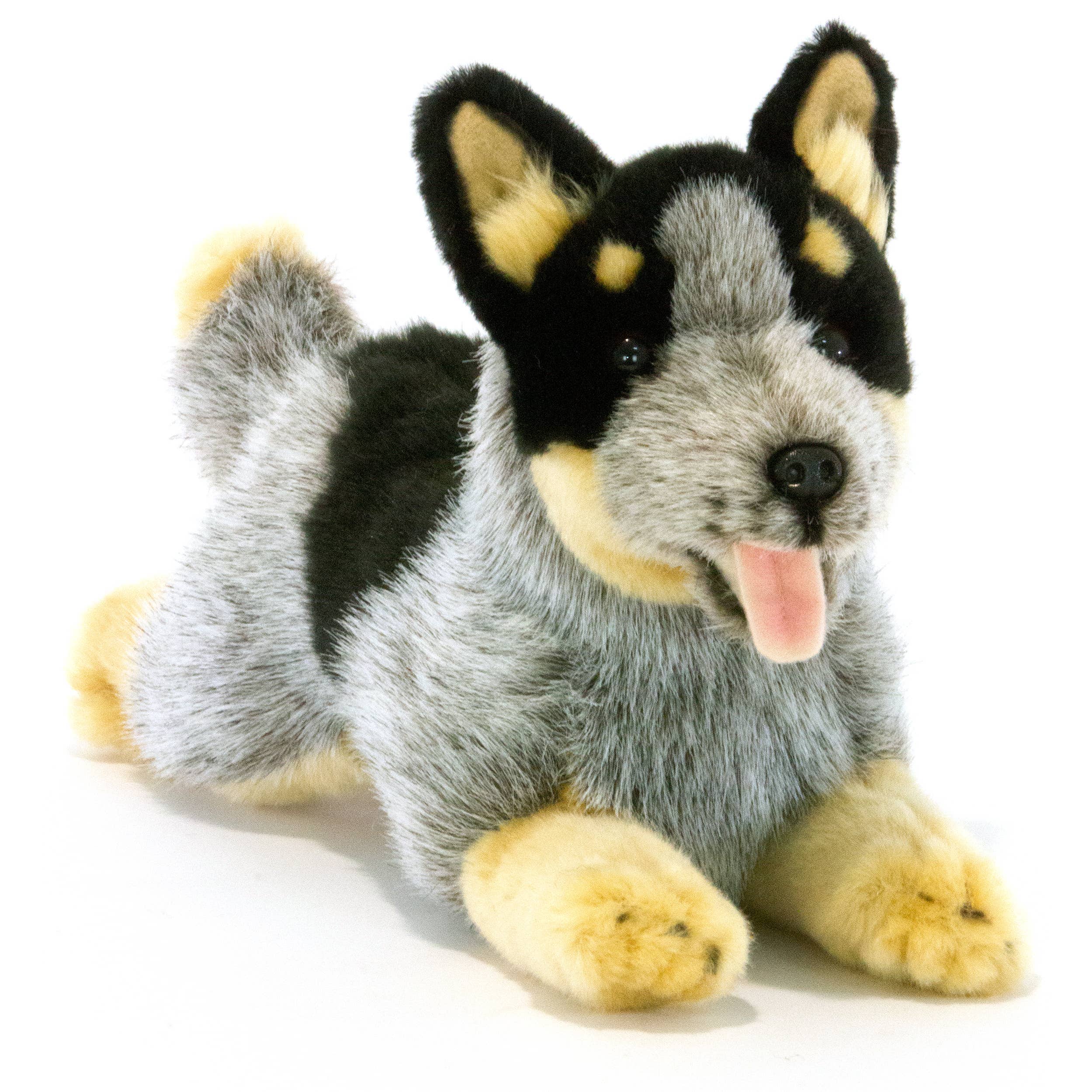 Australian Cattle Dog, Blue or Black Heeler - 28cm、mySite、g9winljtr