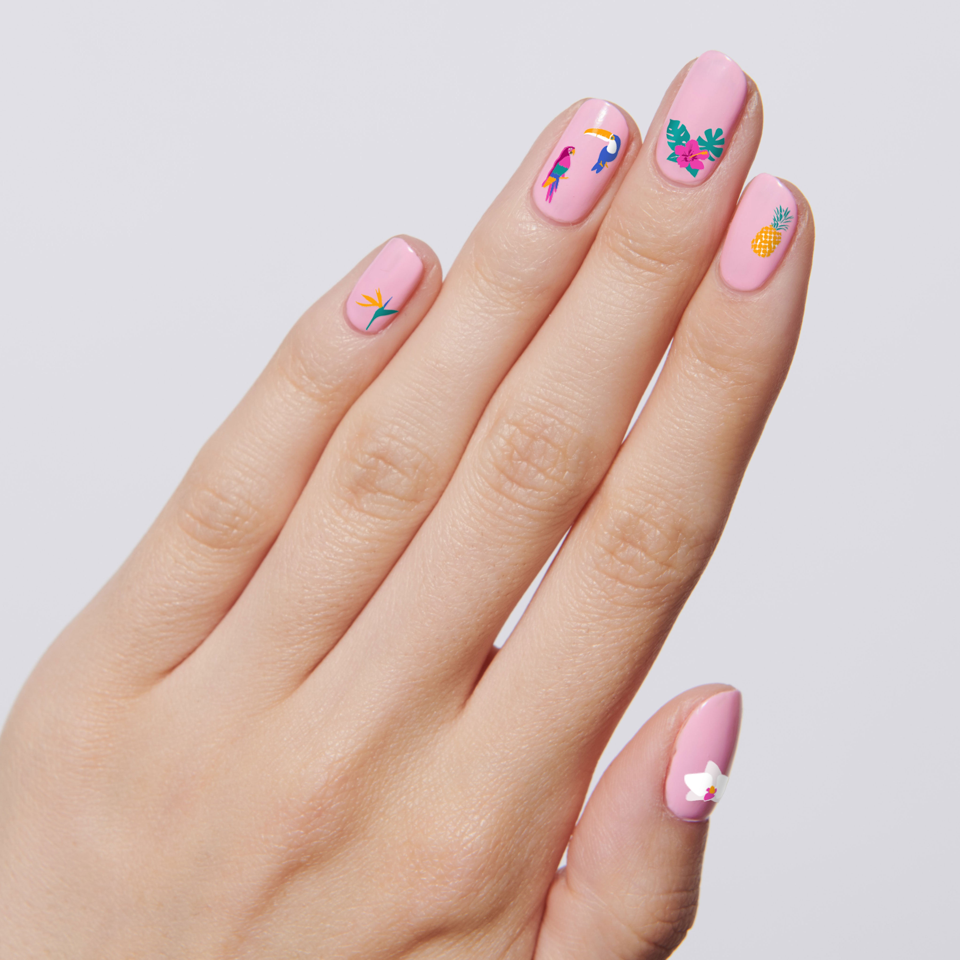 Tropical Vibes、mySite、solidvoid