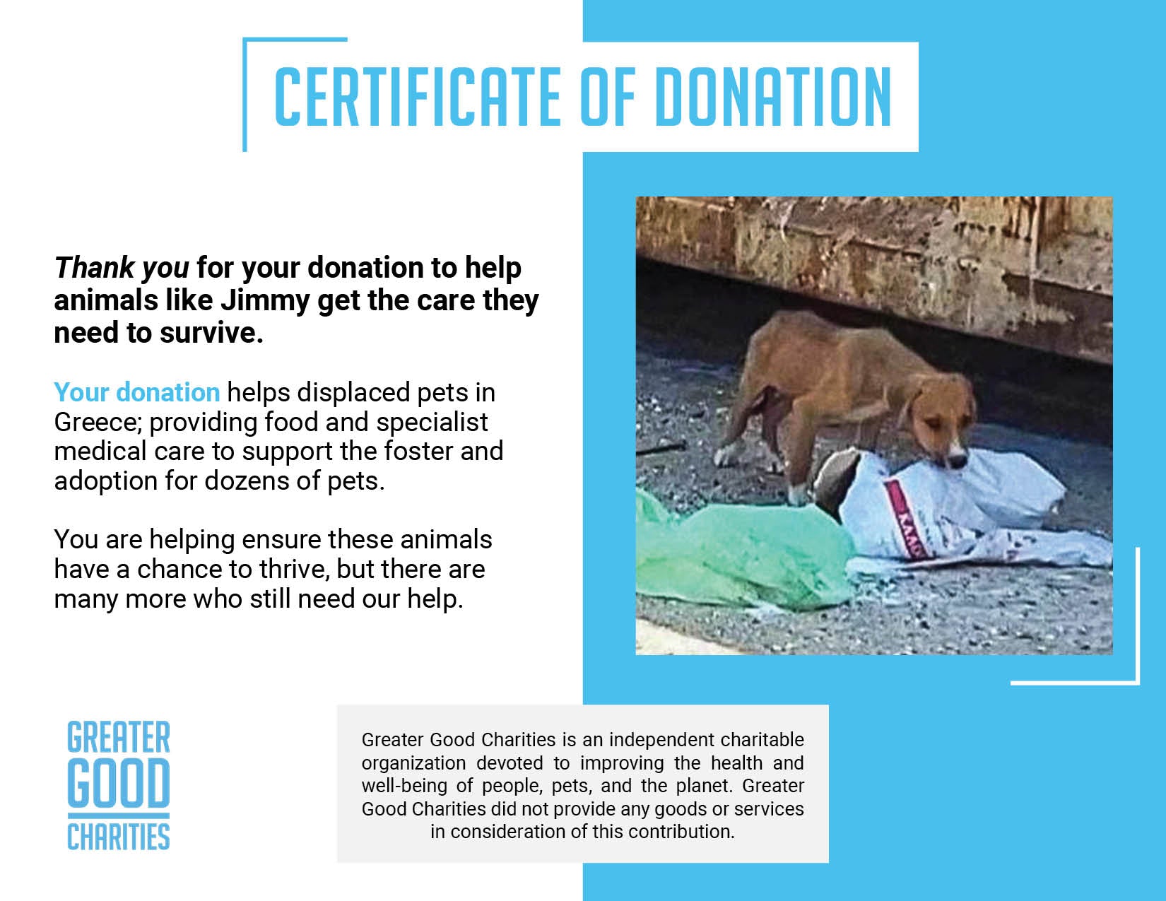 Funded: Help Emaciated Puppy Struggling To Survive At Dump Get Care He Needs、mySite、camillekostekn