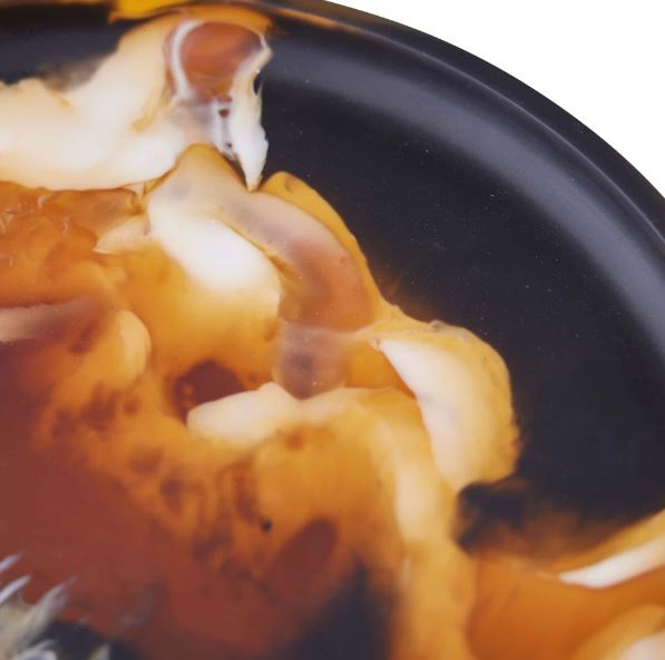  Trenti Centerpeice、mySite、elrpsem3k