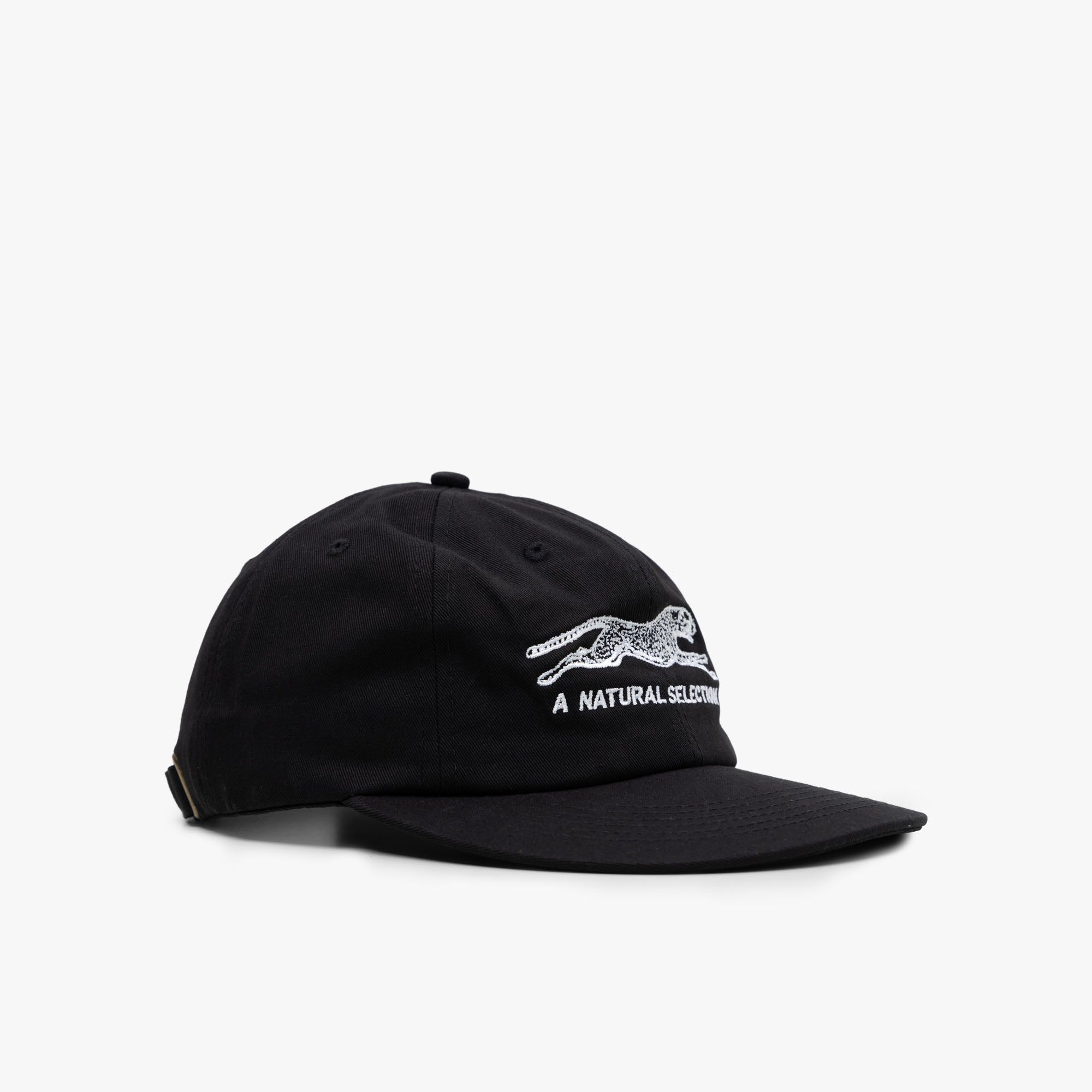  Brother Brother Natural Selection Cap Black / White、mySite、merchandisen