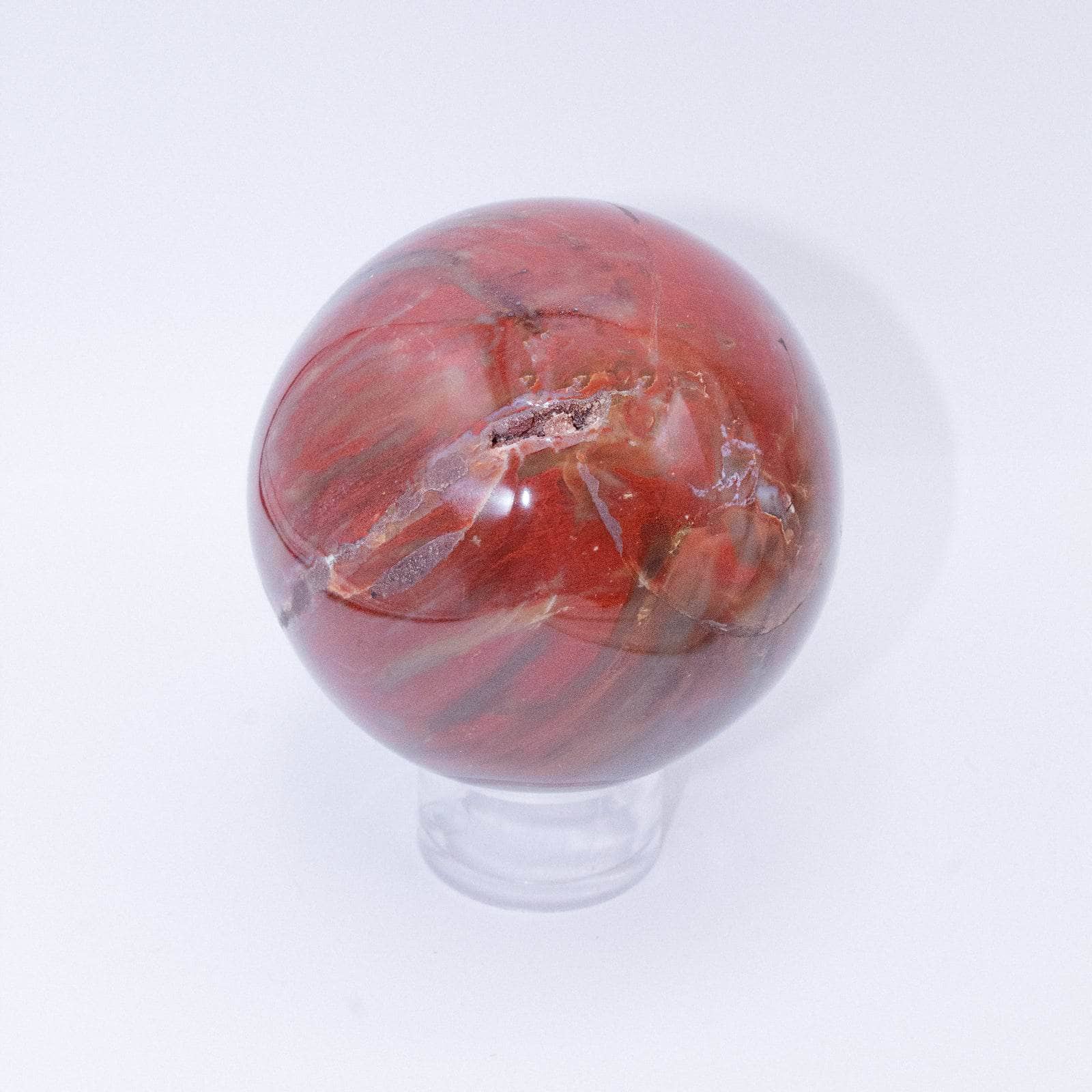 Petrified Wood Sphere - AAA Premium Quality、mySite、hinf8tx79