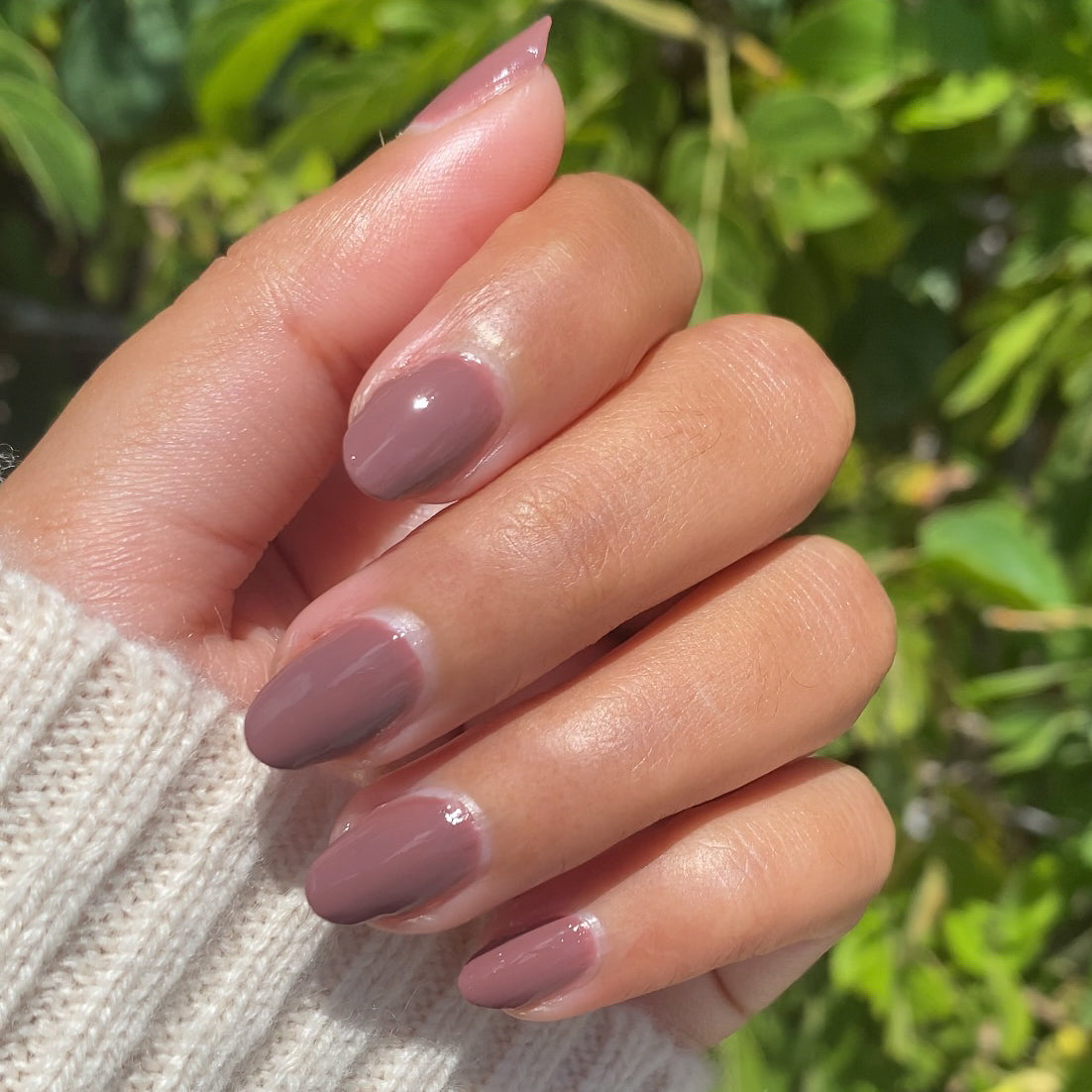 Shacket、mySite、solidvoid