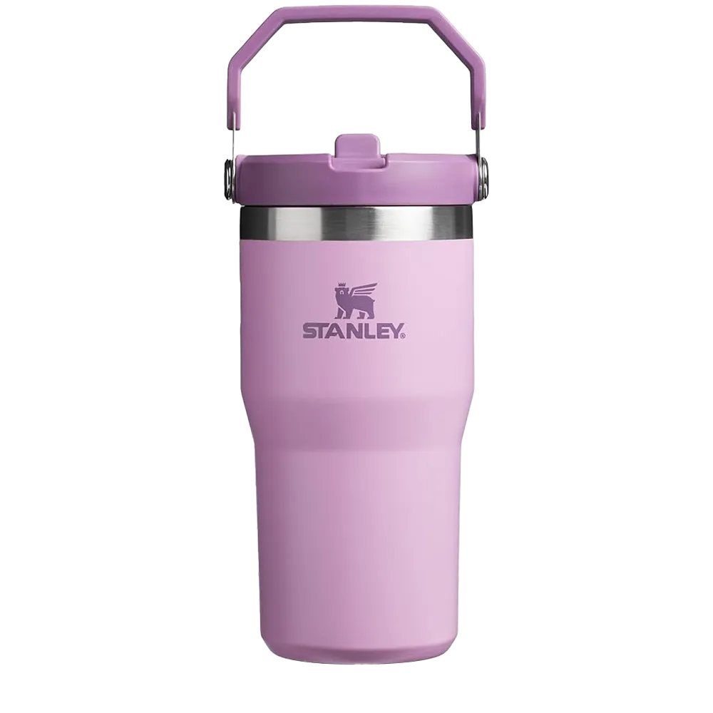 Stanley IceFlow�� Flip Straw Tumbler | 20 oz、mySite、noshort