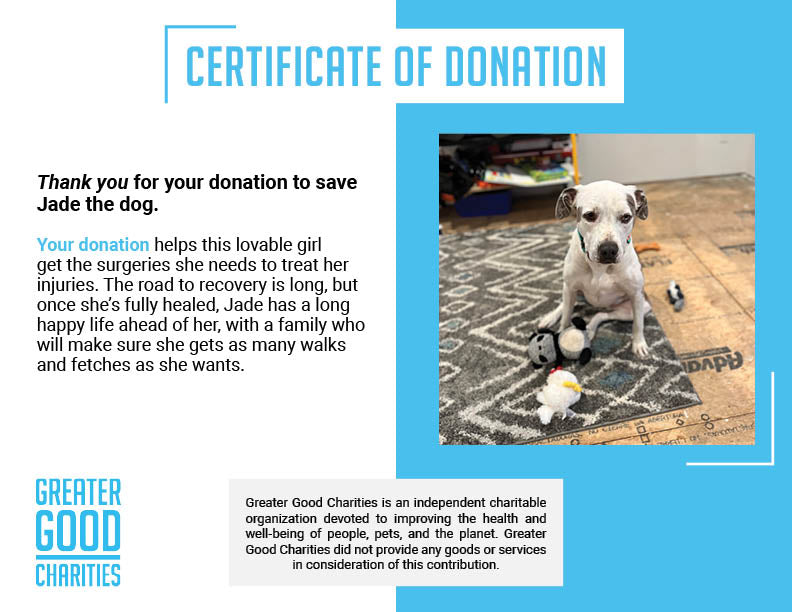 Funded - Help Jade Lose Her Limp、mySite、camillekostekn