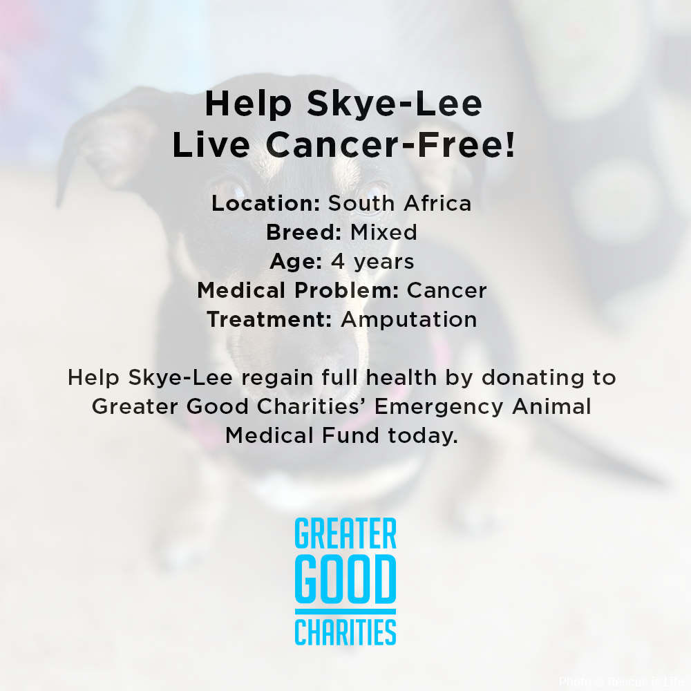 Funded: Help Skye-Lee Live Cancer-Free、mySite、camillekostekn