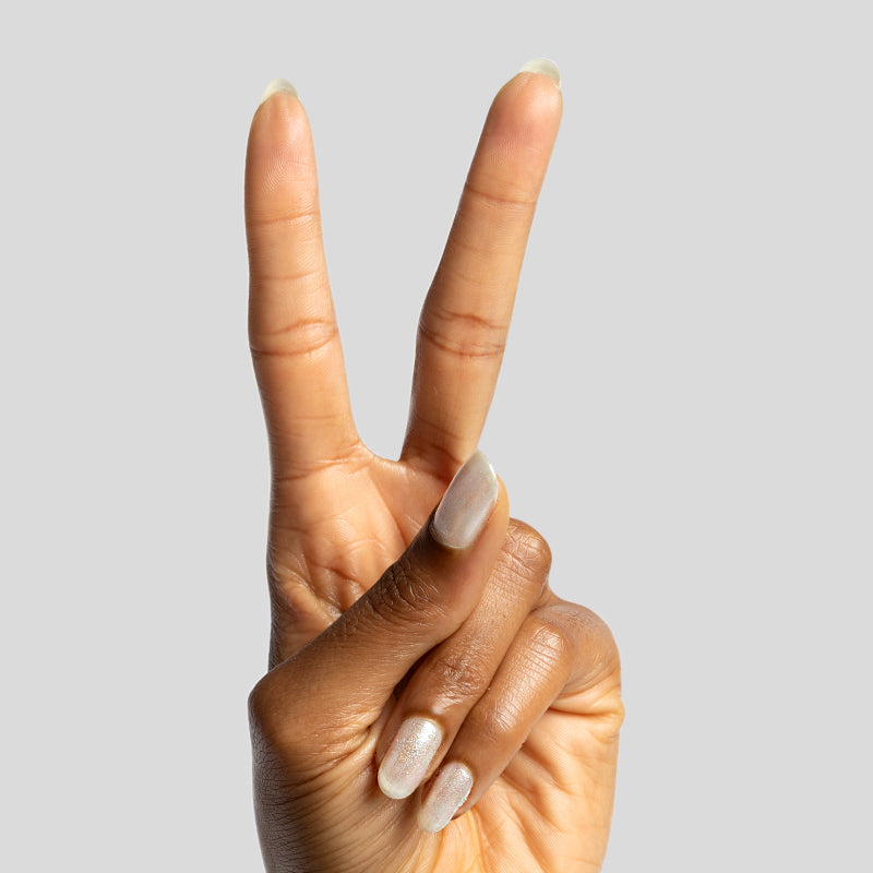 Midnight Disco、mySite、solidvoid