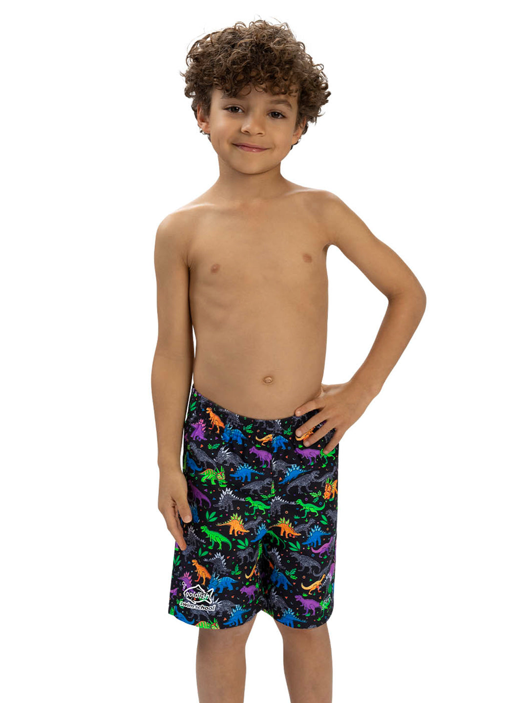 Dolfin Boys' Dinomite Swim Trunks (Toddler, Little Kid)、mySite、noshort
