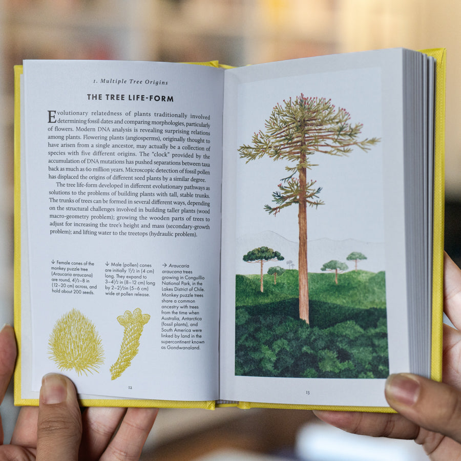 The Little Book of Trees、mySite、topwebapps