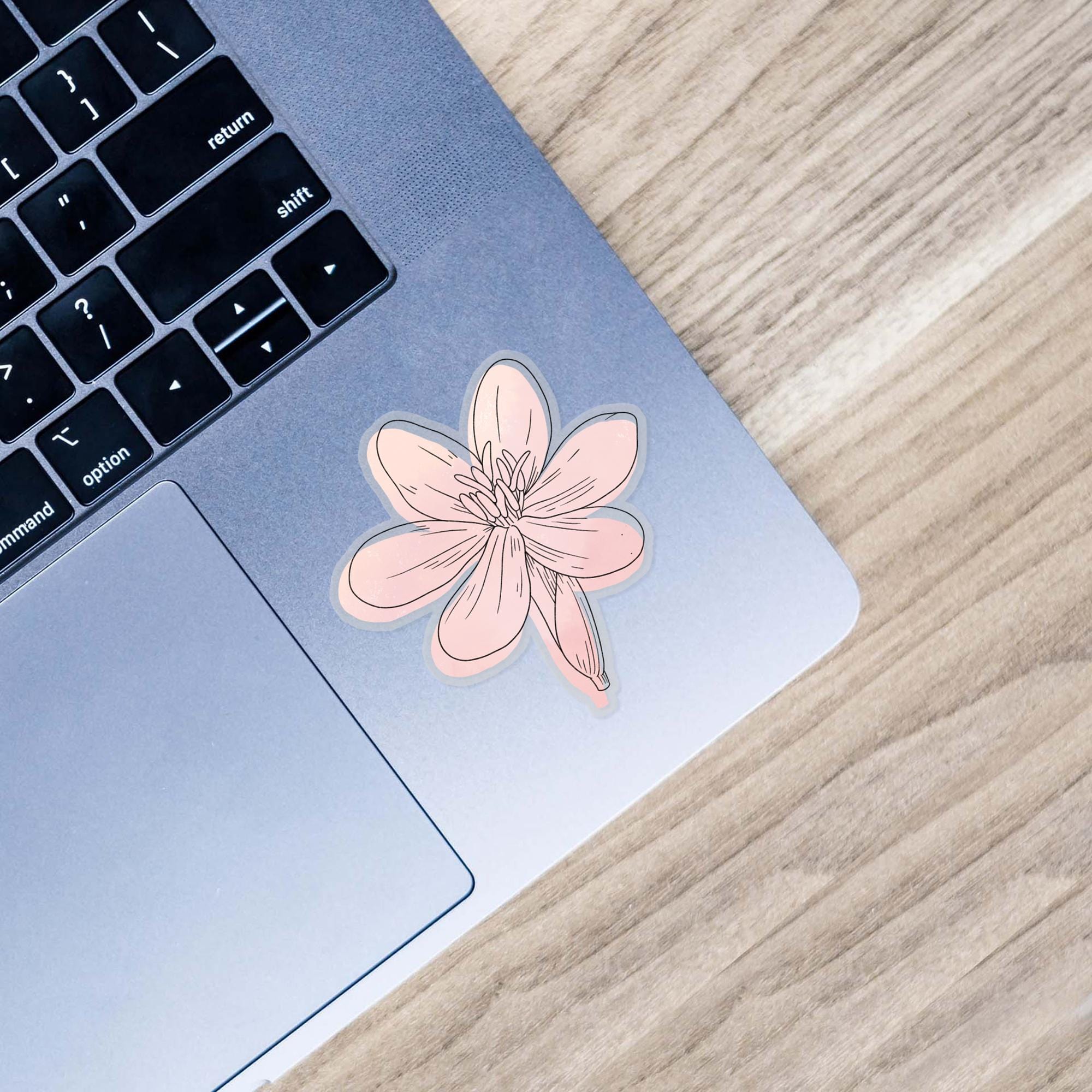  Eleutherine Bulbosa Watercolor - Clear Sticker、mySite、ghnorth