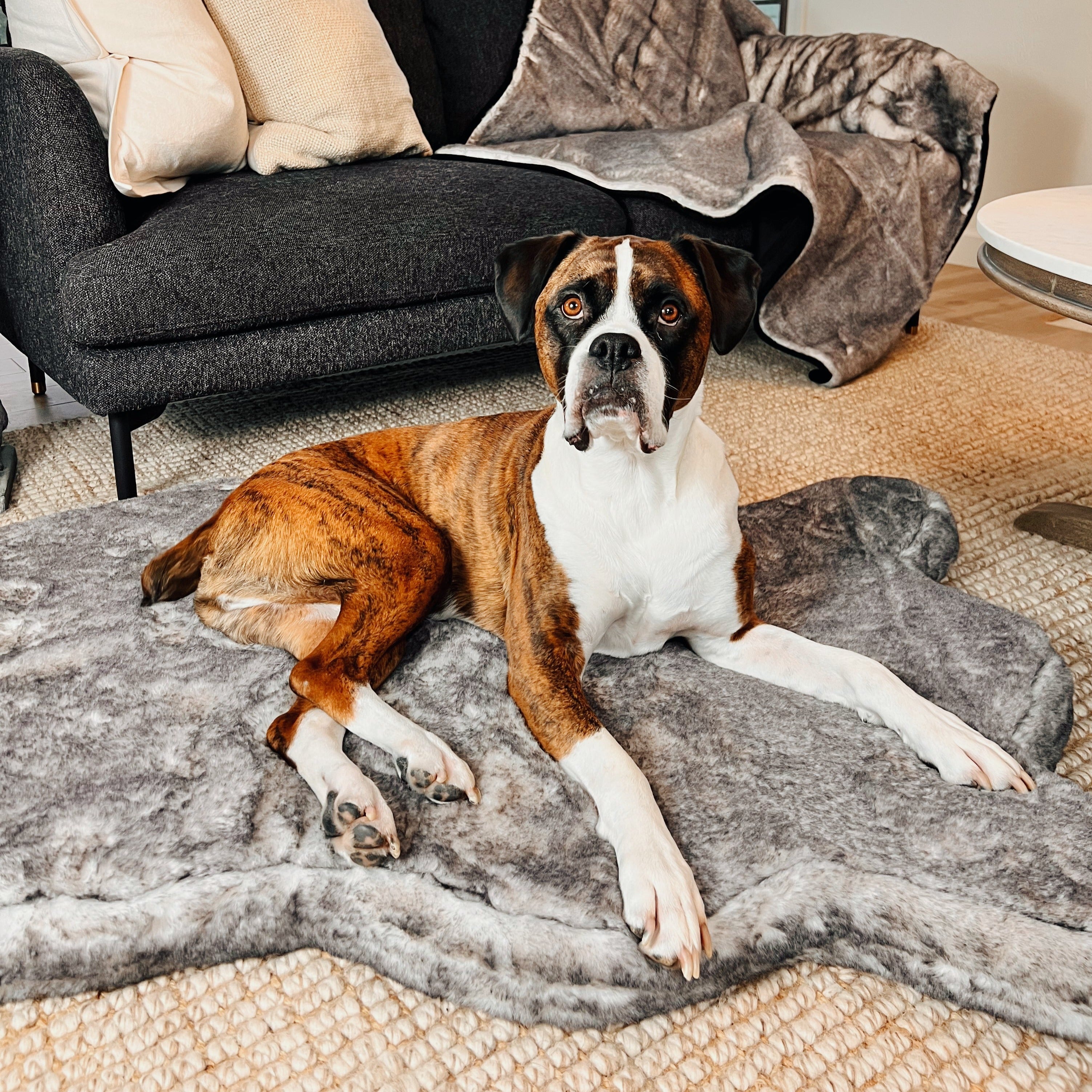 PupRug™ Luxe Faux Fur Orthopedic Dog Bed - Ultra Soft Chinchilla、mySite、solidvoid