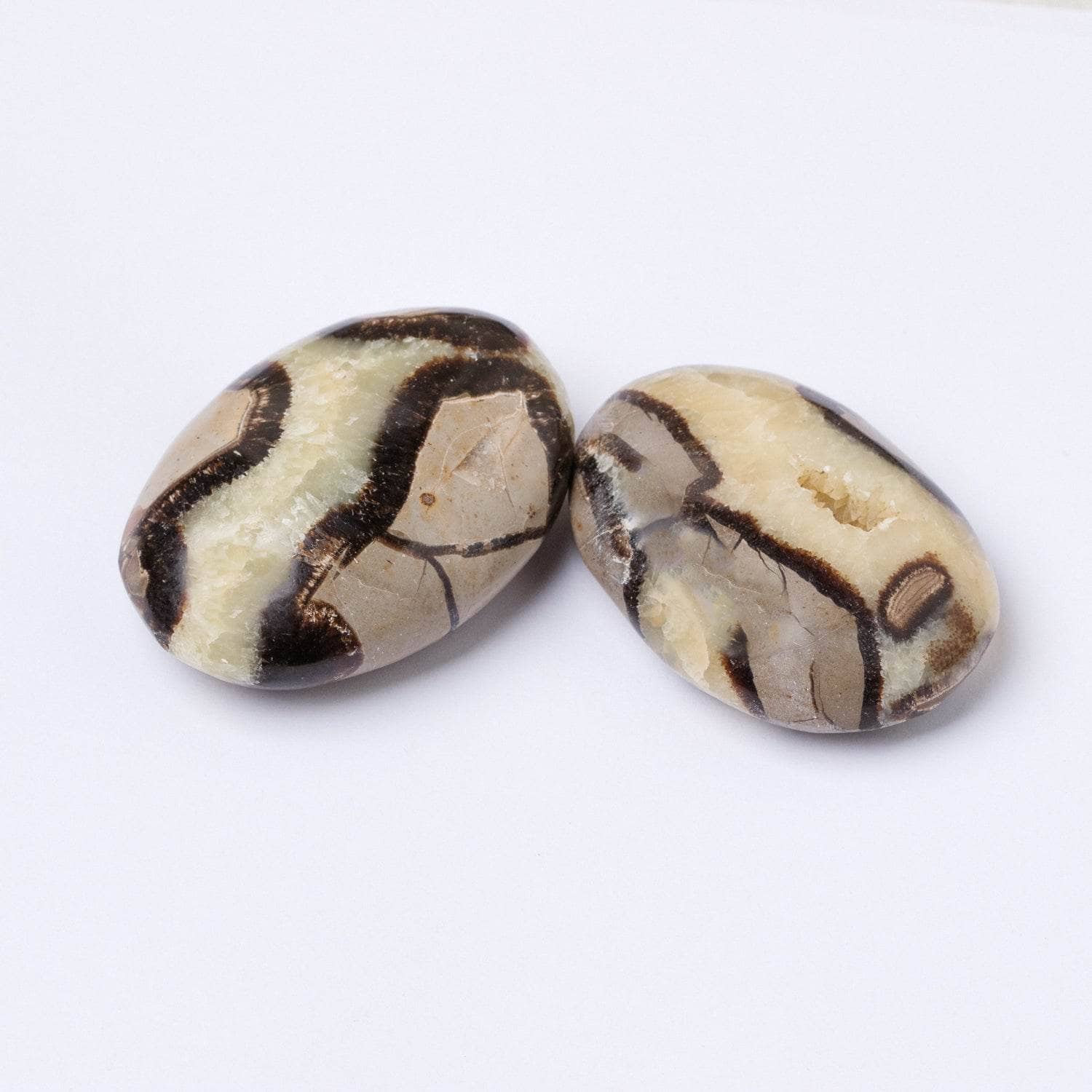 Black Septarian Palm Stones - AAA Premium Quality、mySite、hinf8tx79