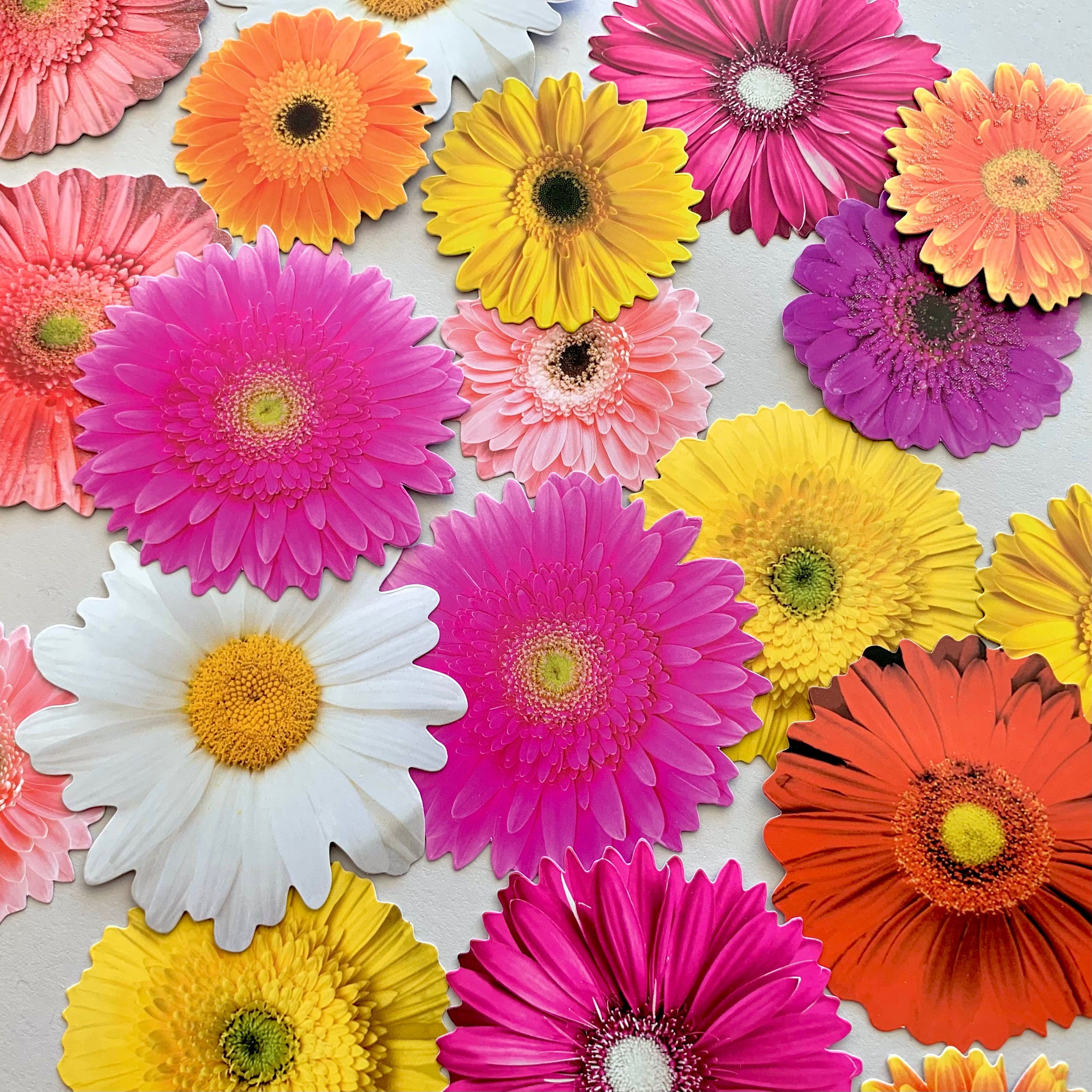  Scrapbook Stickers - Daisies Die Cut Sticker Pack、mySite、ghnorth