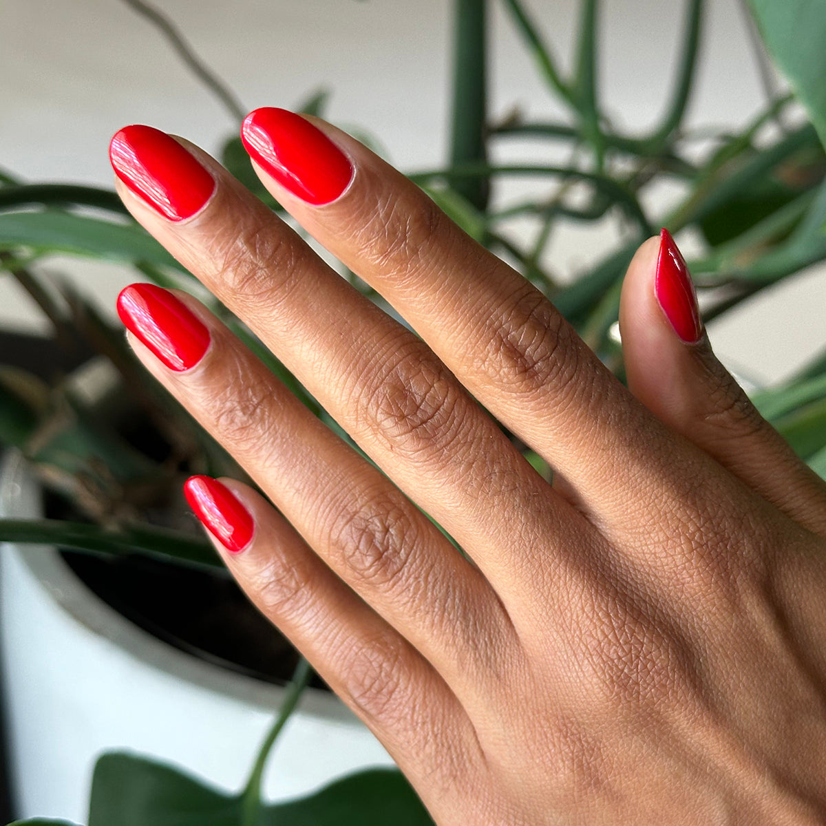 Secret Recipe、mySite、solidvoid