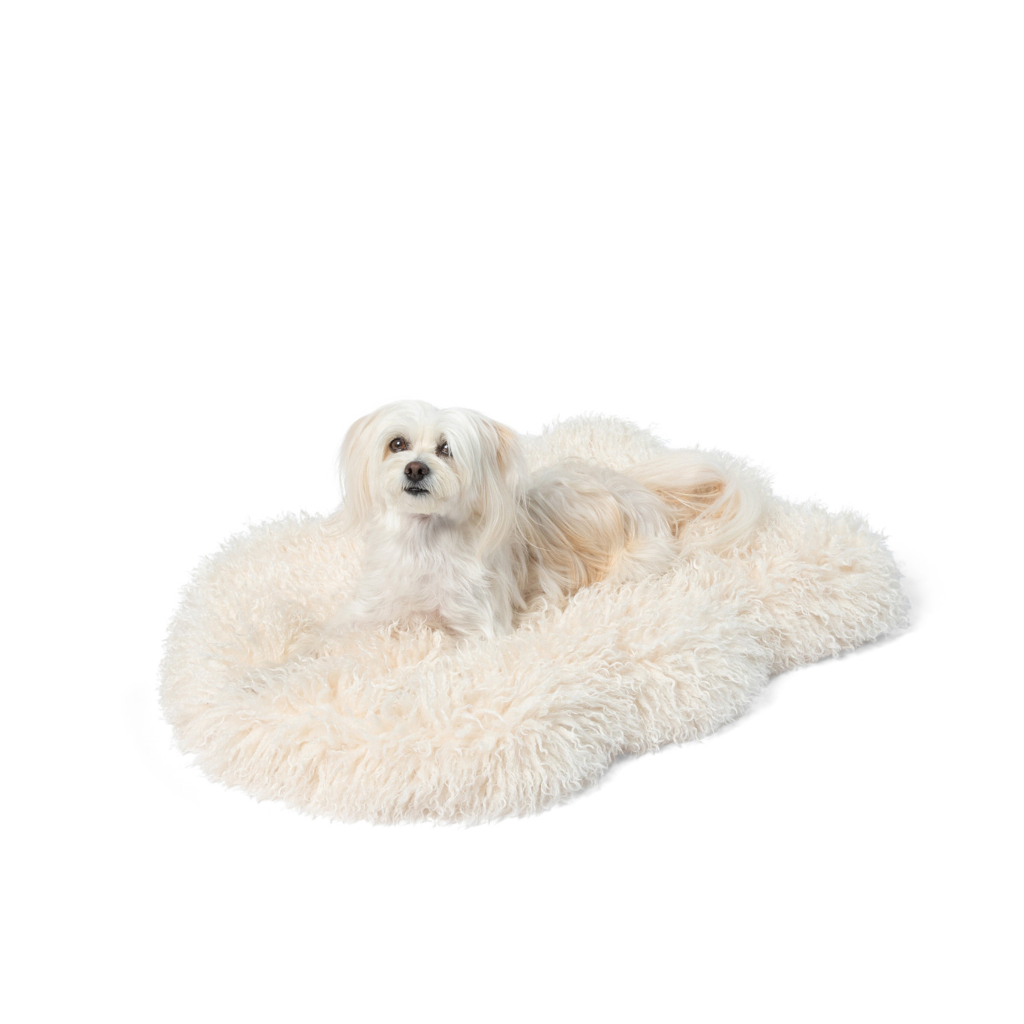 PupRug™ Luxe Faux Fur Orthopedic Dog Bed Cover - Plush Sheep Ivory (Bed Not Included)、mySite、solidvoid