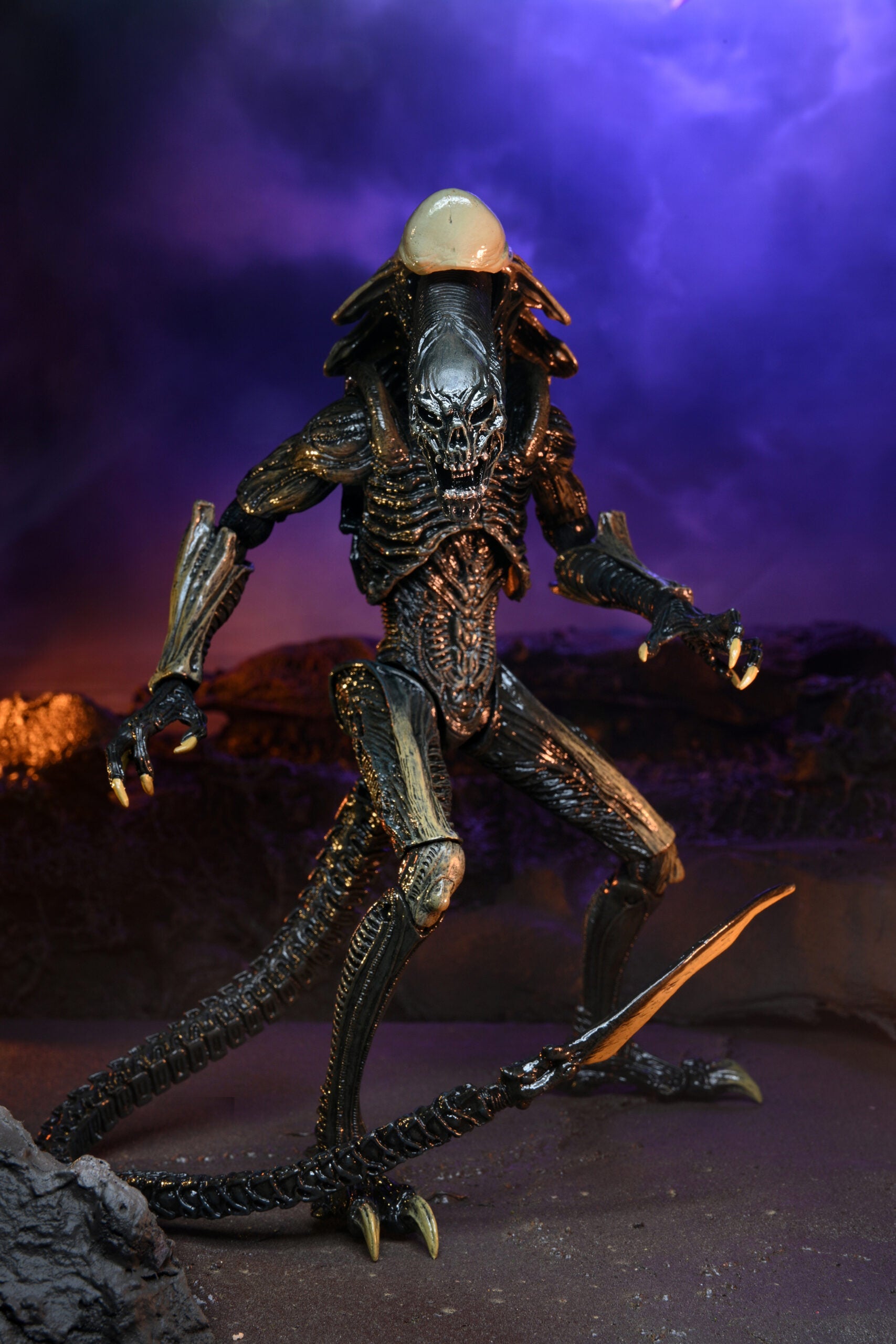 NECA Alien vs. Predator Chrysalis (Movie Deco)、mySite、hgirdovlk