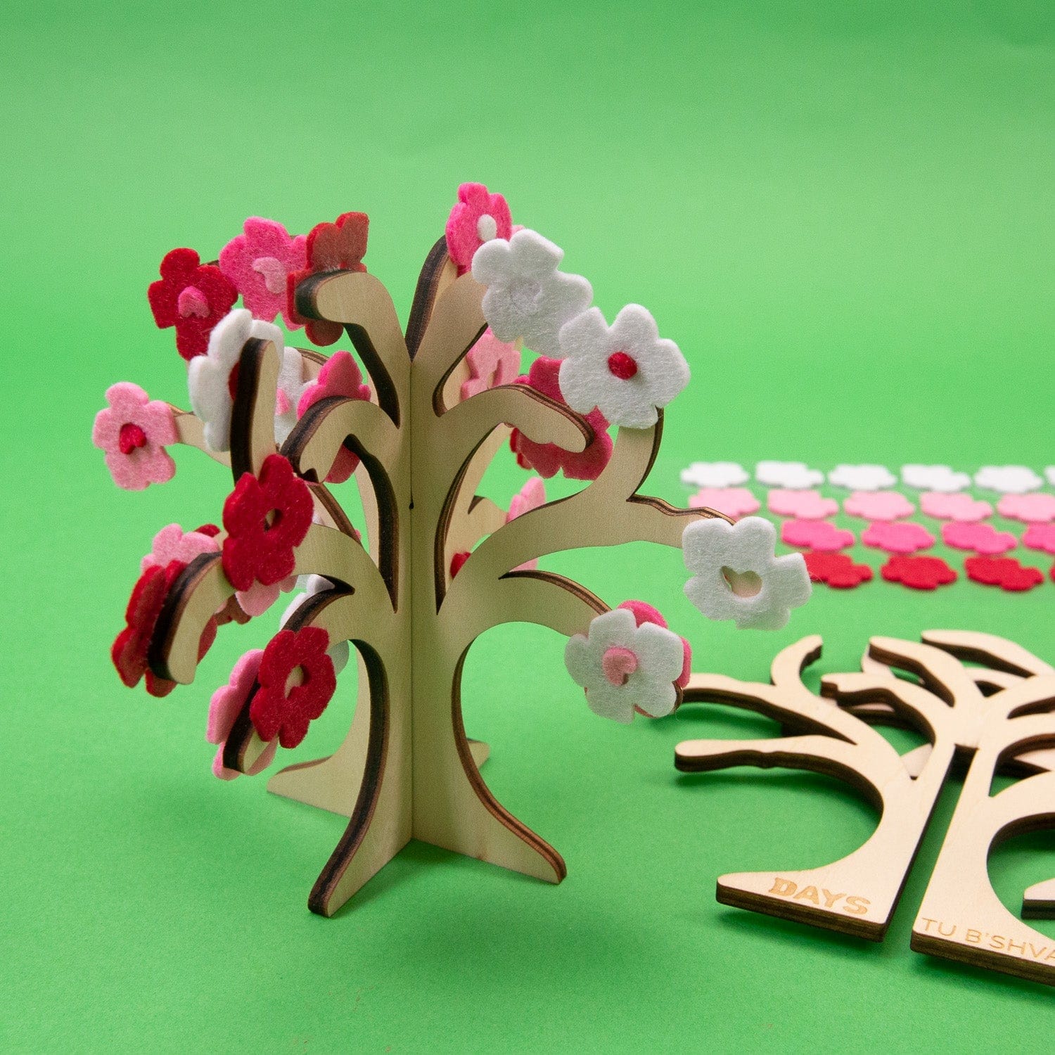 Tu B'Shvat in a Box、mySite、topwebapps