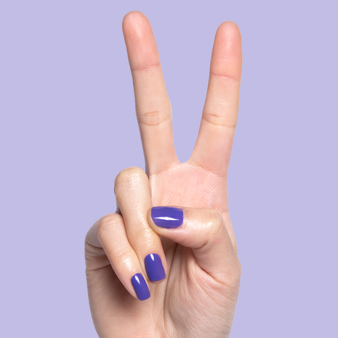 House of O&J、mySite、solidvoid