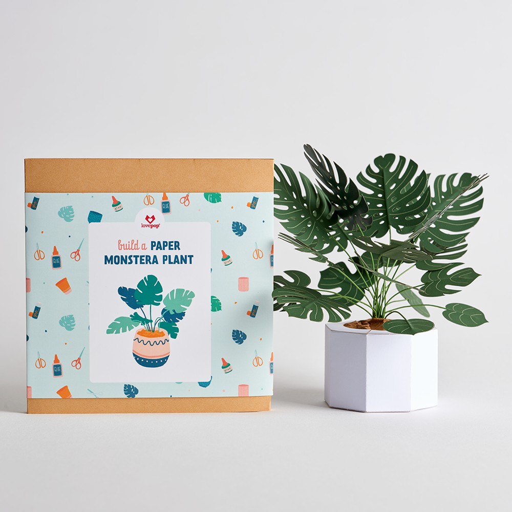 Paper Monstera Plant DIY Kit、mySite、solidvoid
