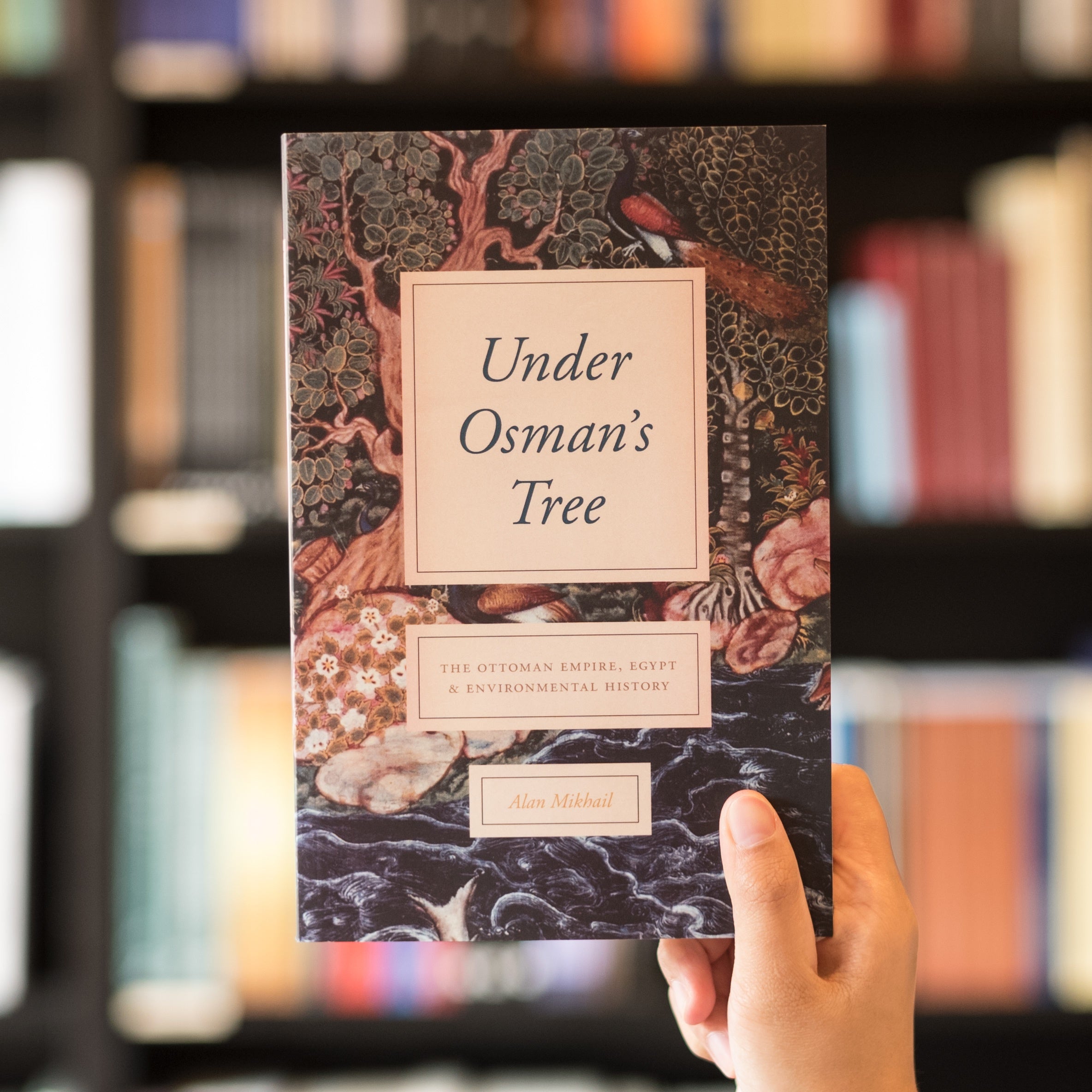 Under Osman’s Tree、mySite、topwebapps