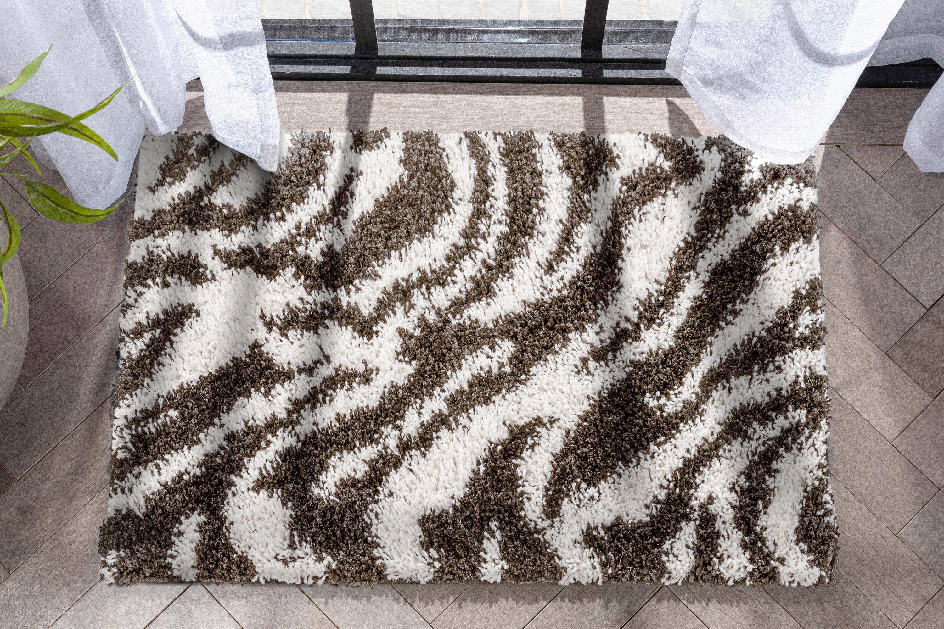 Safari Zebra Brown Contemporary Shag Rug、mySite、gigharbornorthrealestate