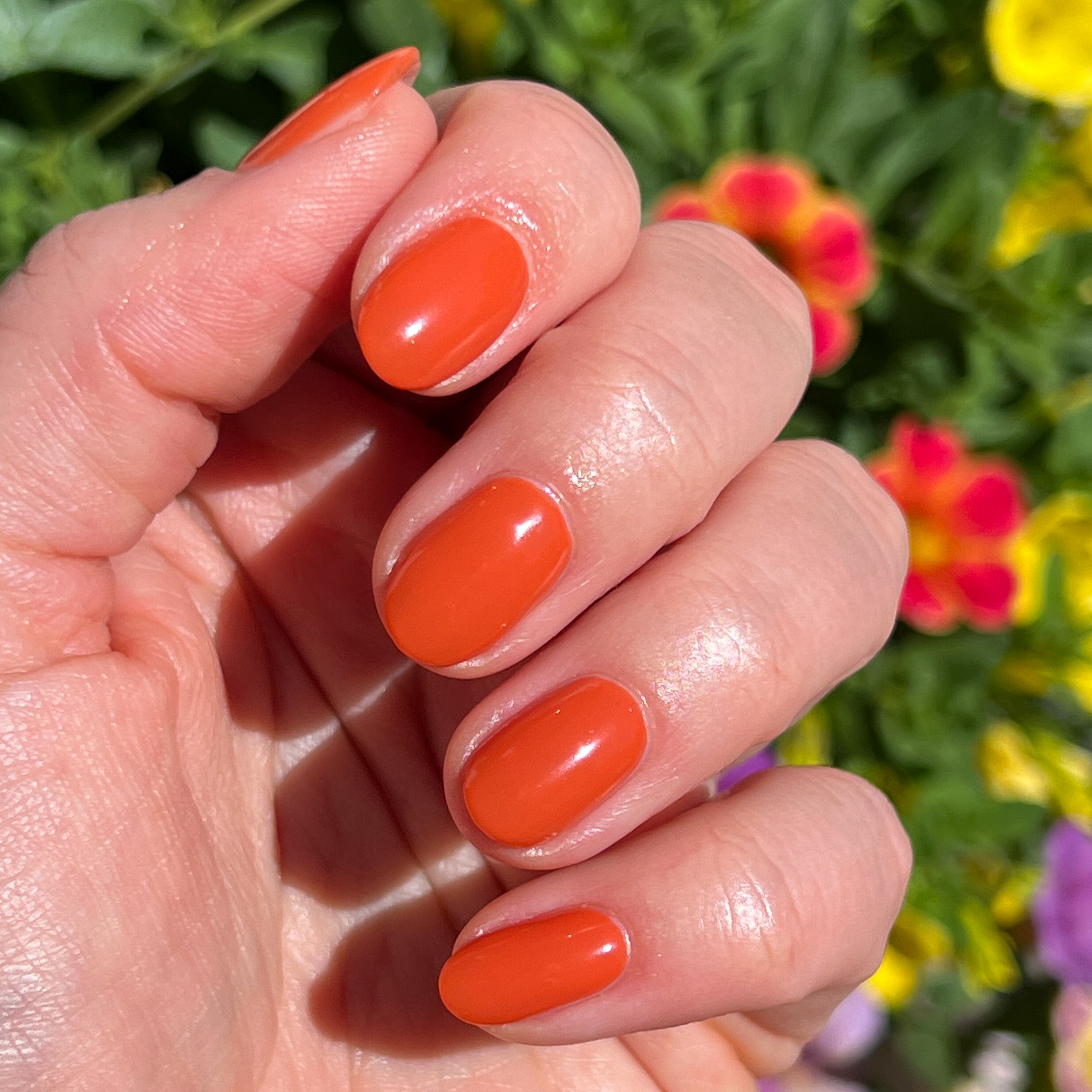 Flowerpot、mySite、solidvoid