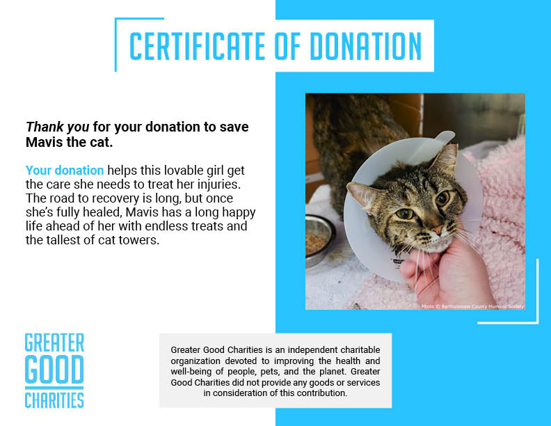 Funded: Mavis was Attacked and Needs Help to Heal、mySite、camillekostekn