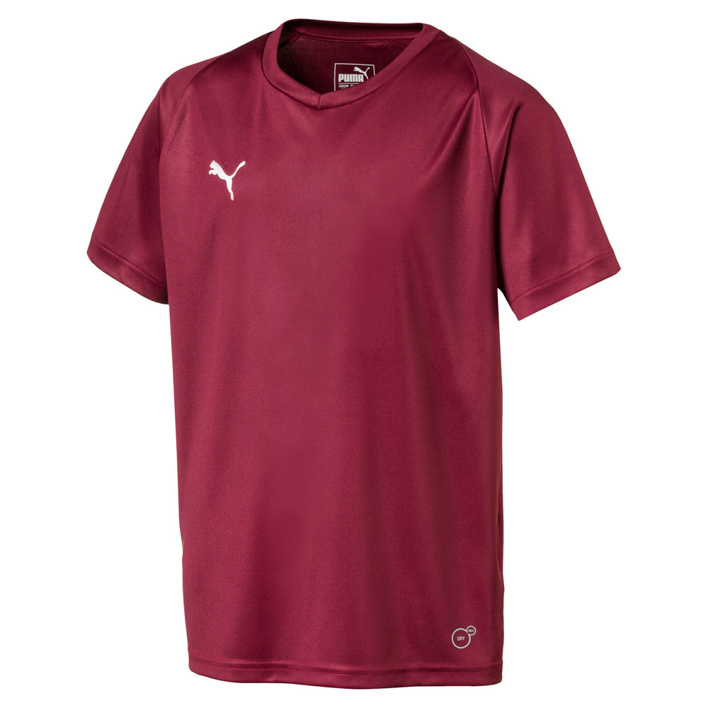 Liga Core V-Neck Short Sleeve Soccer Jersey (Youth)、mySite、gtrtttuynbv