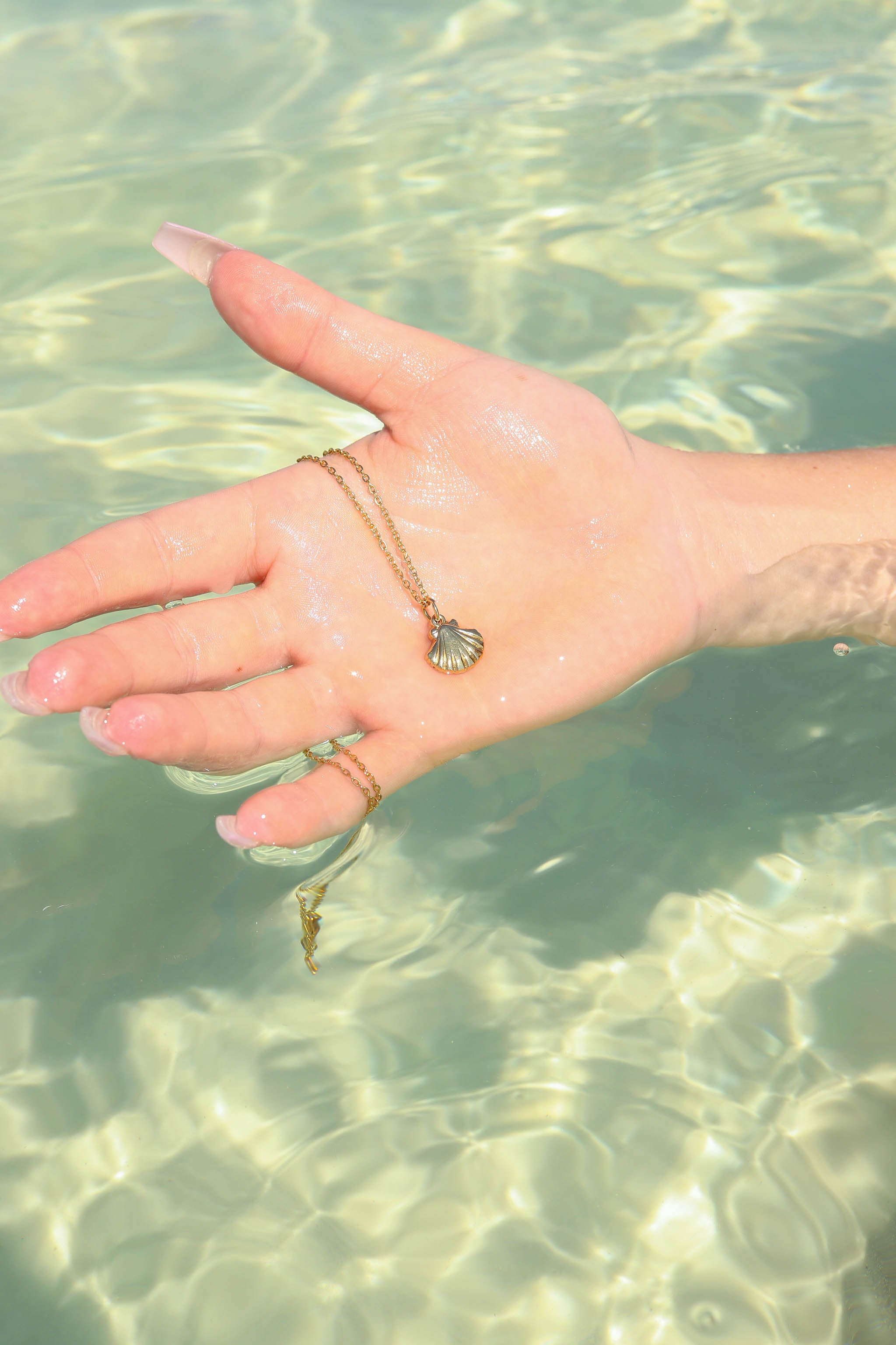 18K Gold PVD Stainless Steel Clam Shell Charm / PDL0097、mySite、dreamappss