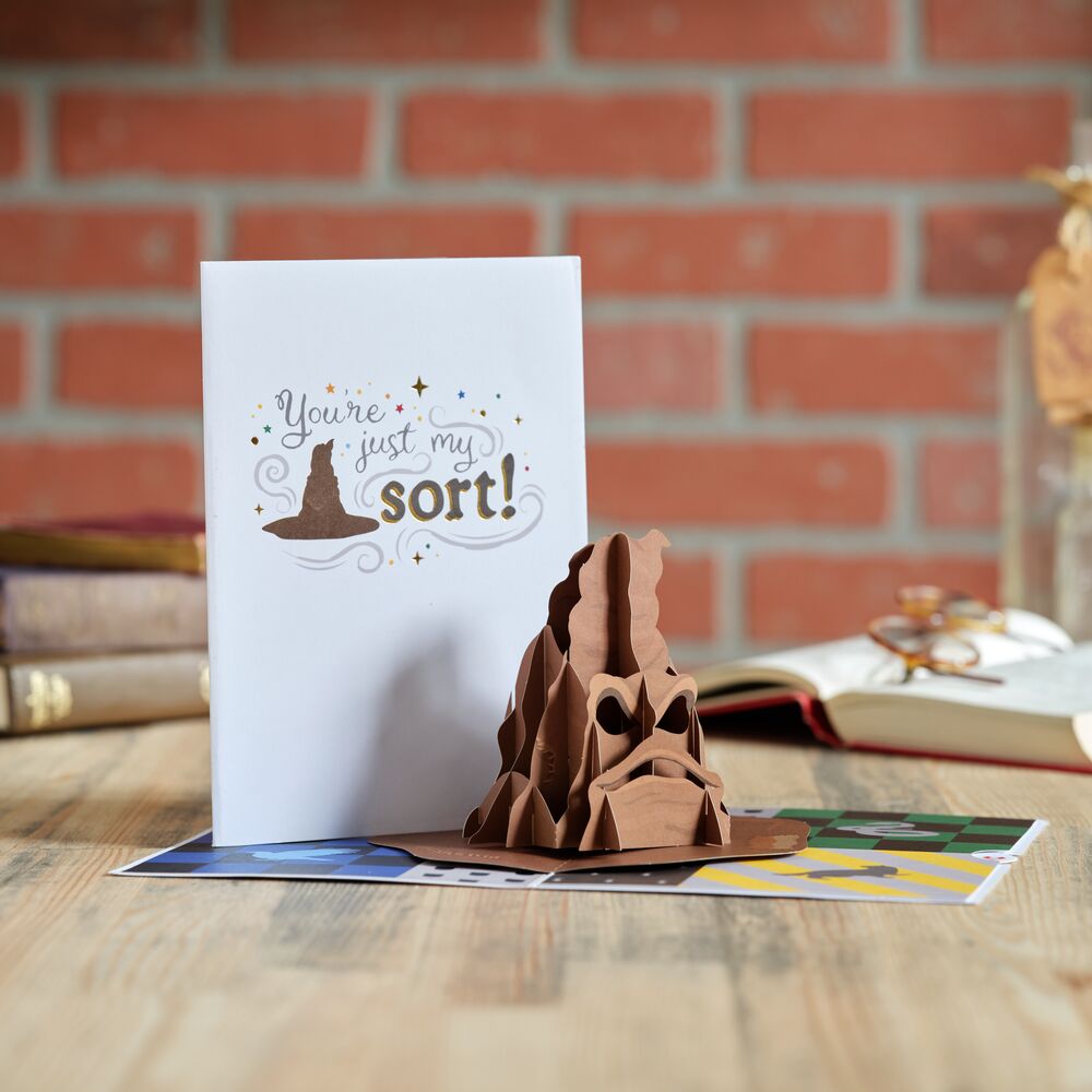 Harry Potter™ You're Just My Sort Pop-Up Card、mySite、solidvoid