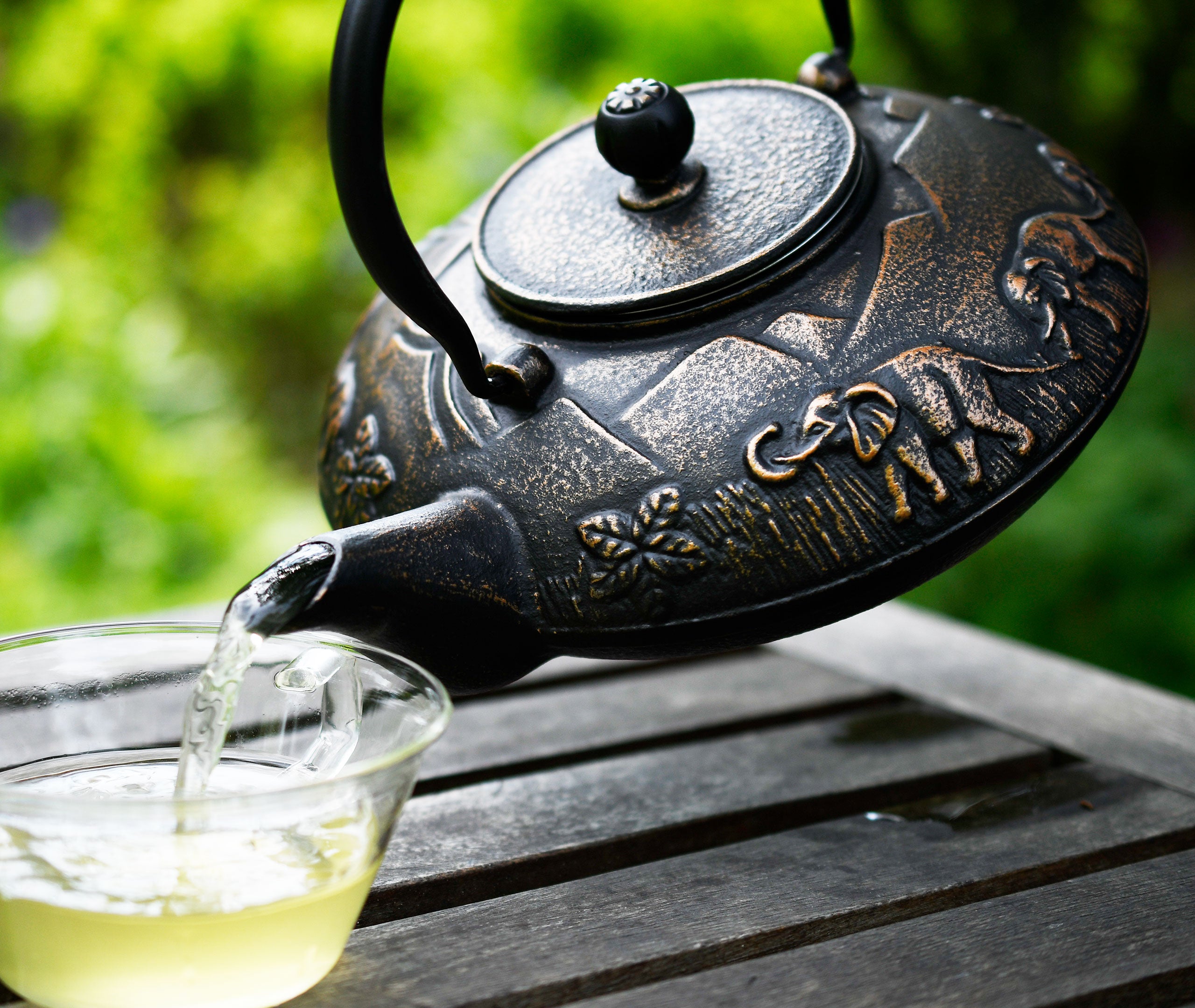 Cast Iron Teapot Elephant 1.1L、mySite、topwebapps
