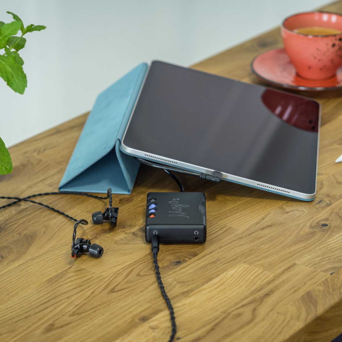  Chord - Mojo 2、mySite、merchandisen