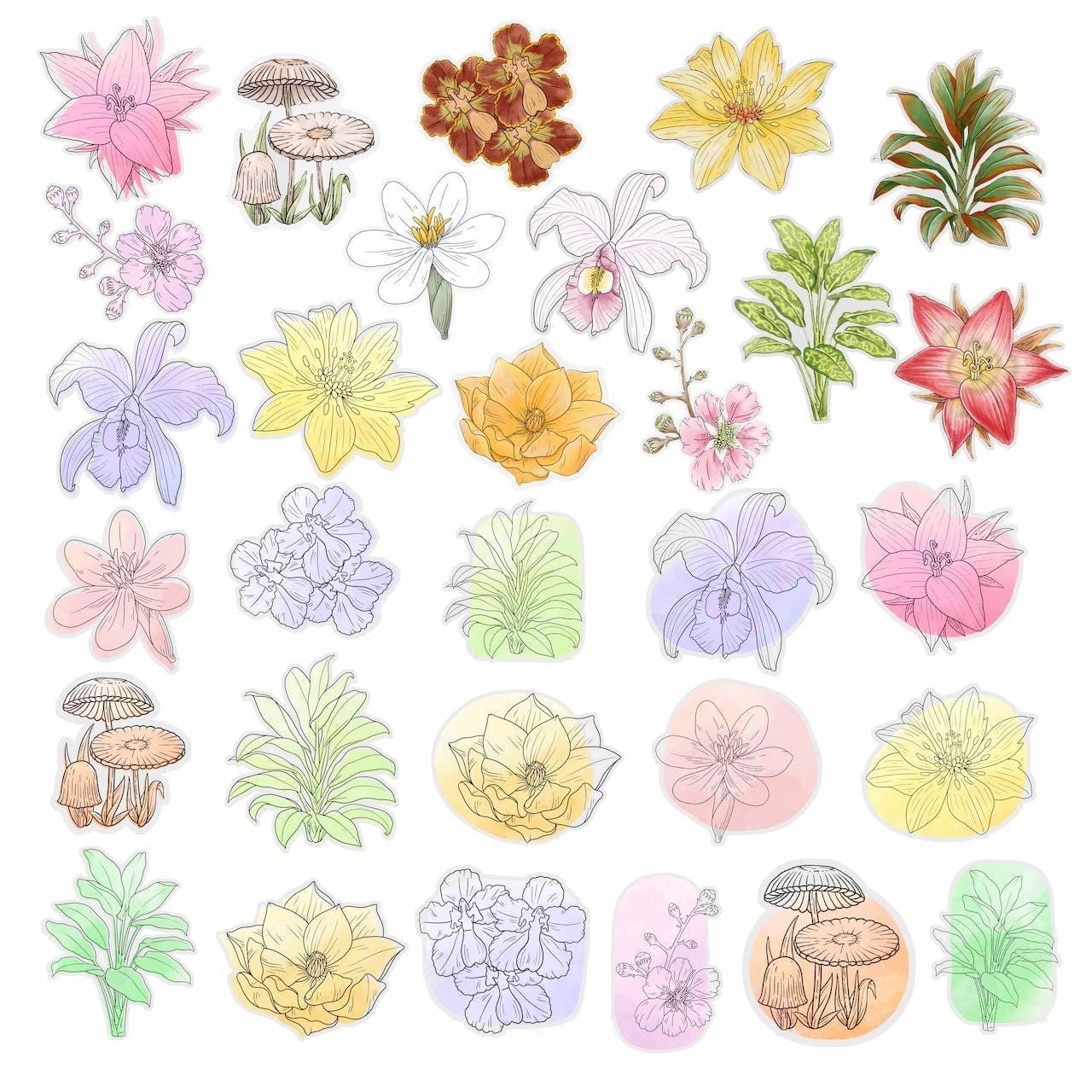  Botanical Clear Stickers 30 Pack、mySite、elrpsem3k