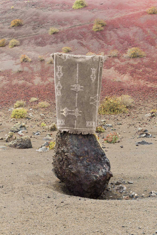 WASHABLE AREA RUG KERMAN BROWN、mySite、gigharbornorthrealestate